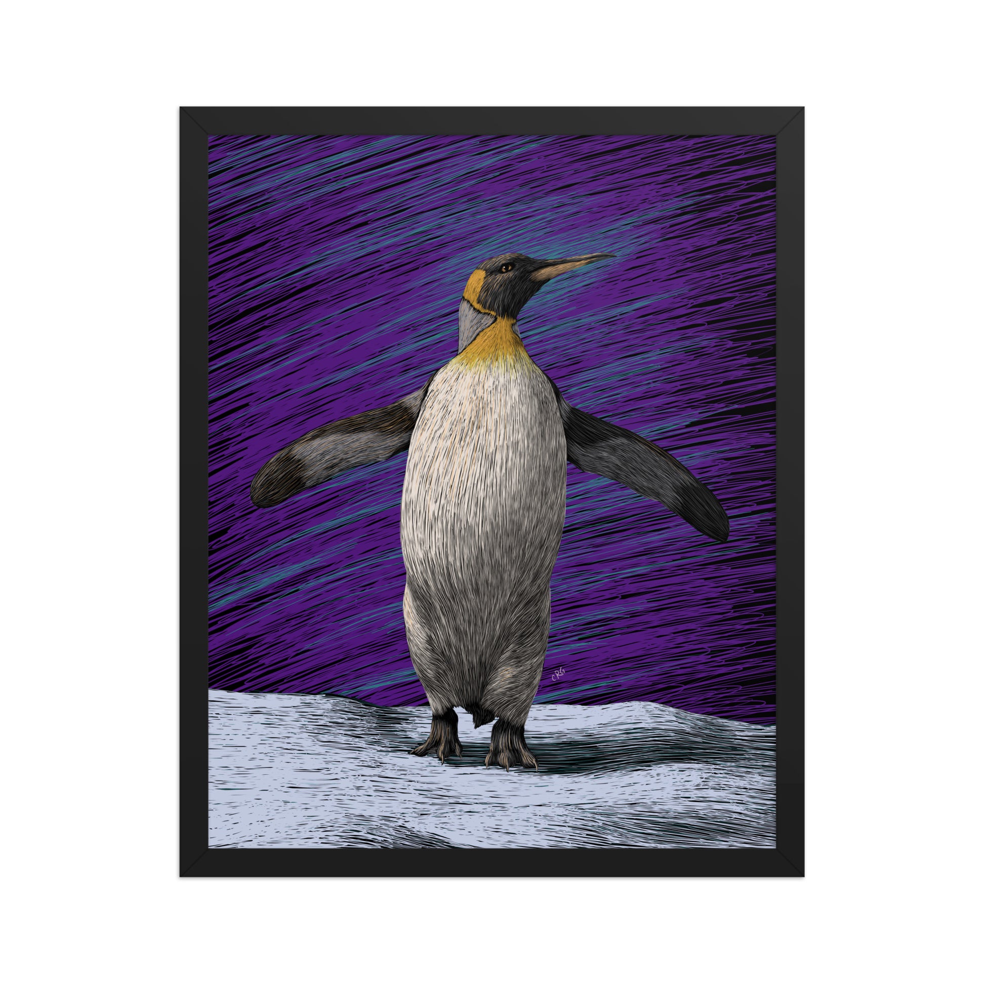 Penguin Art Print
