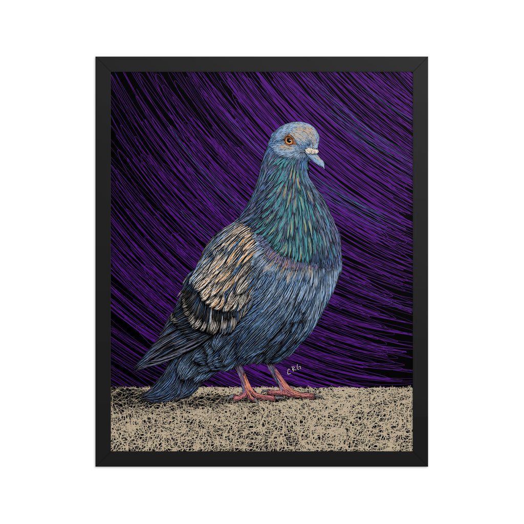 Pigeon Art Print