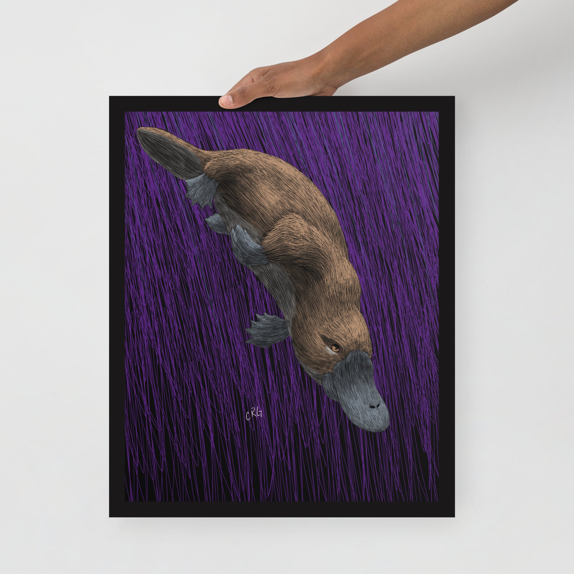 Platypus Art Print