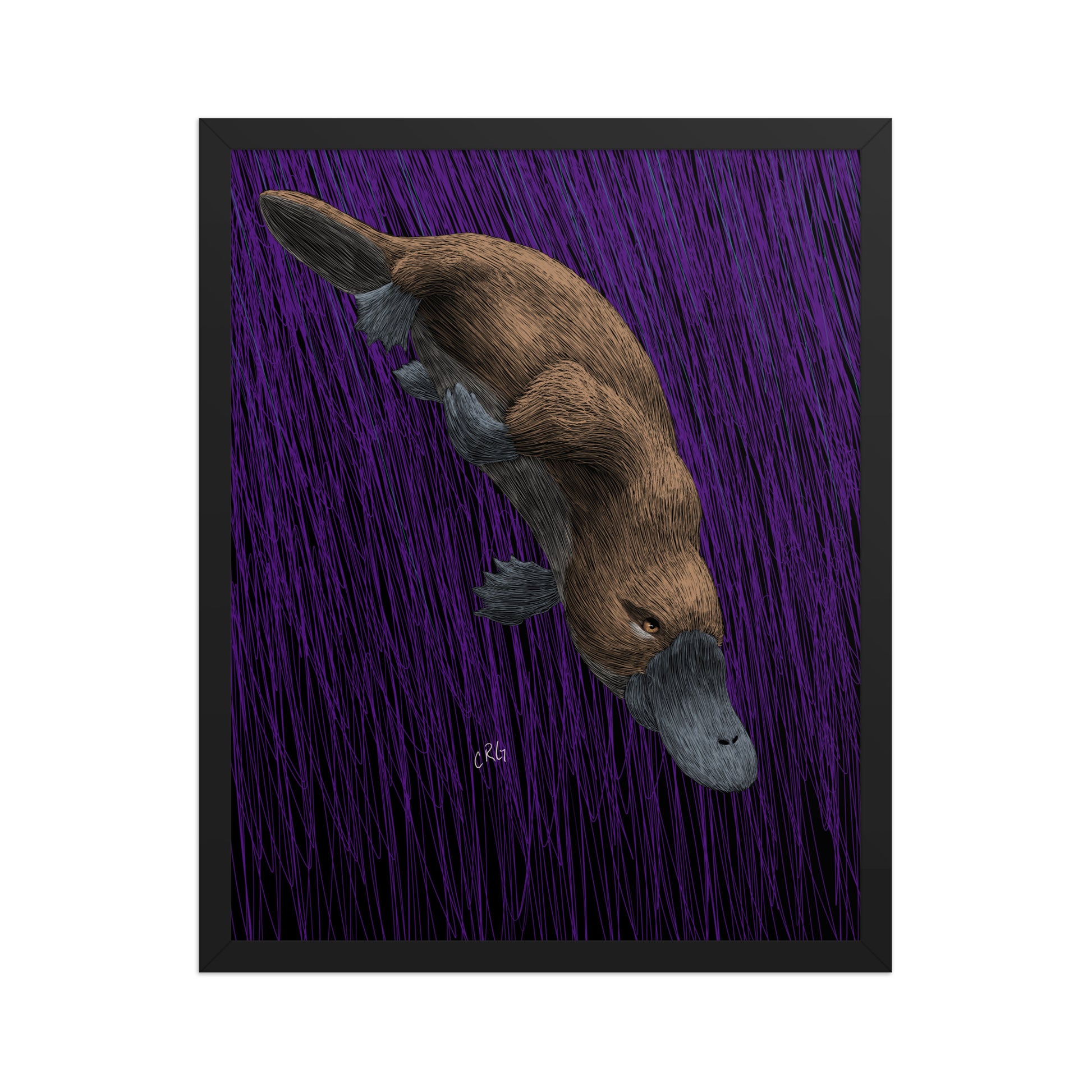 Platypus Art Print