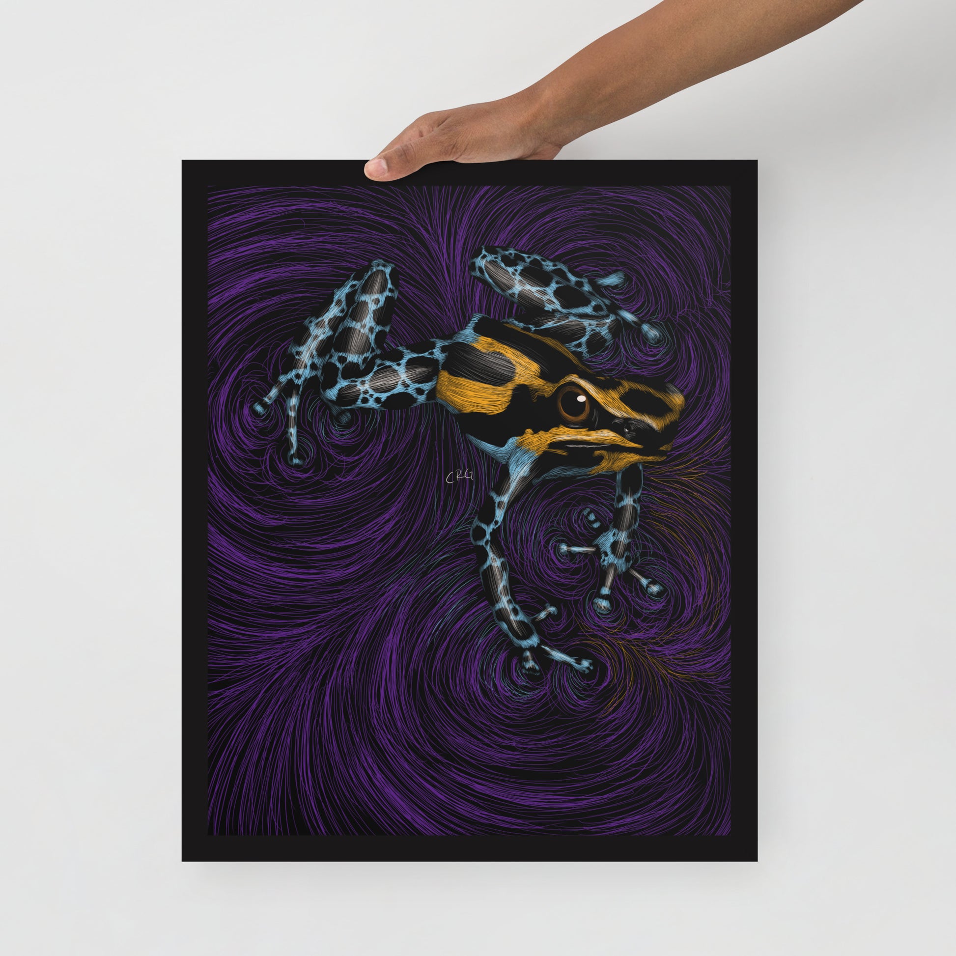 Frog Art Print