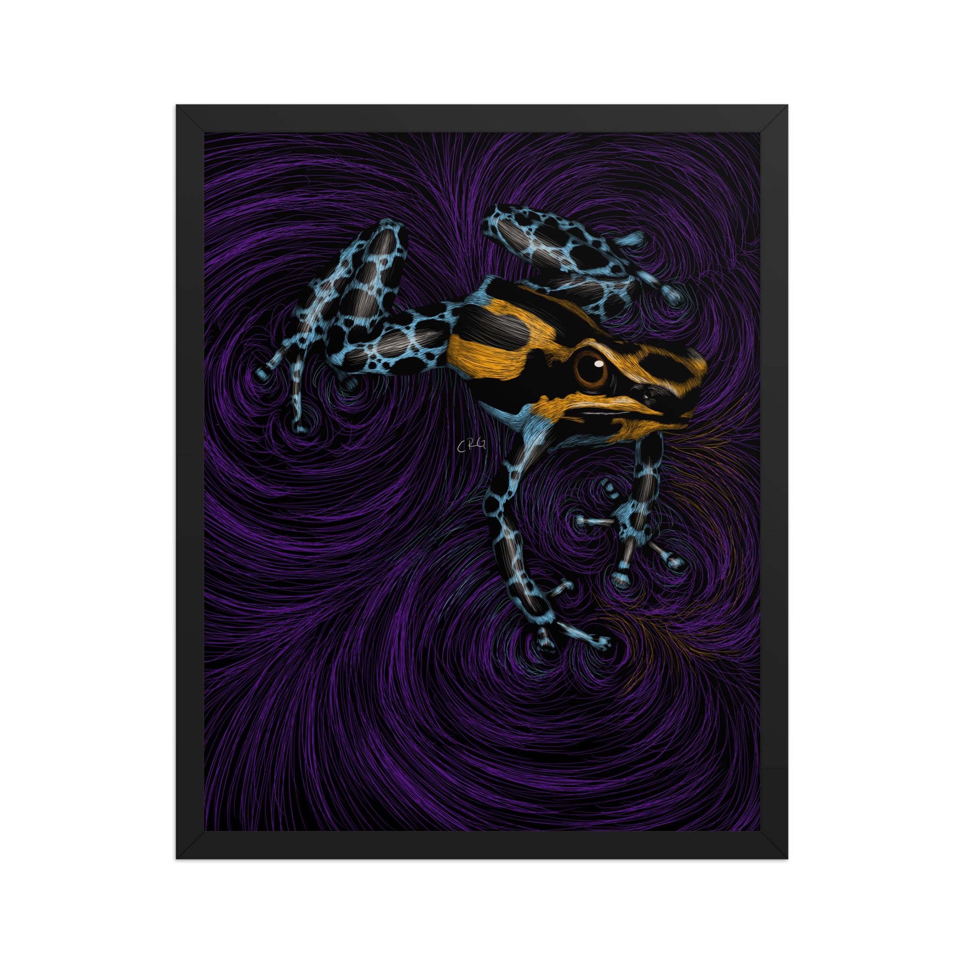 Frog Art Print