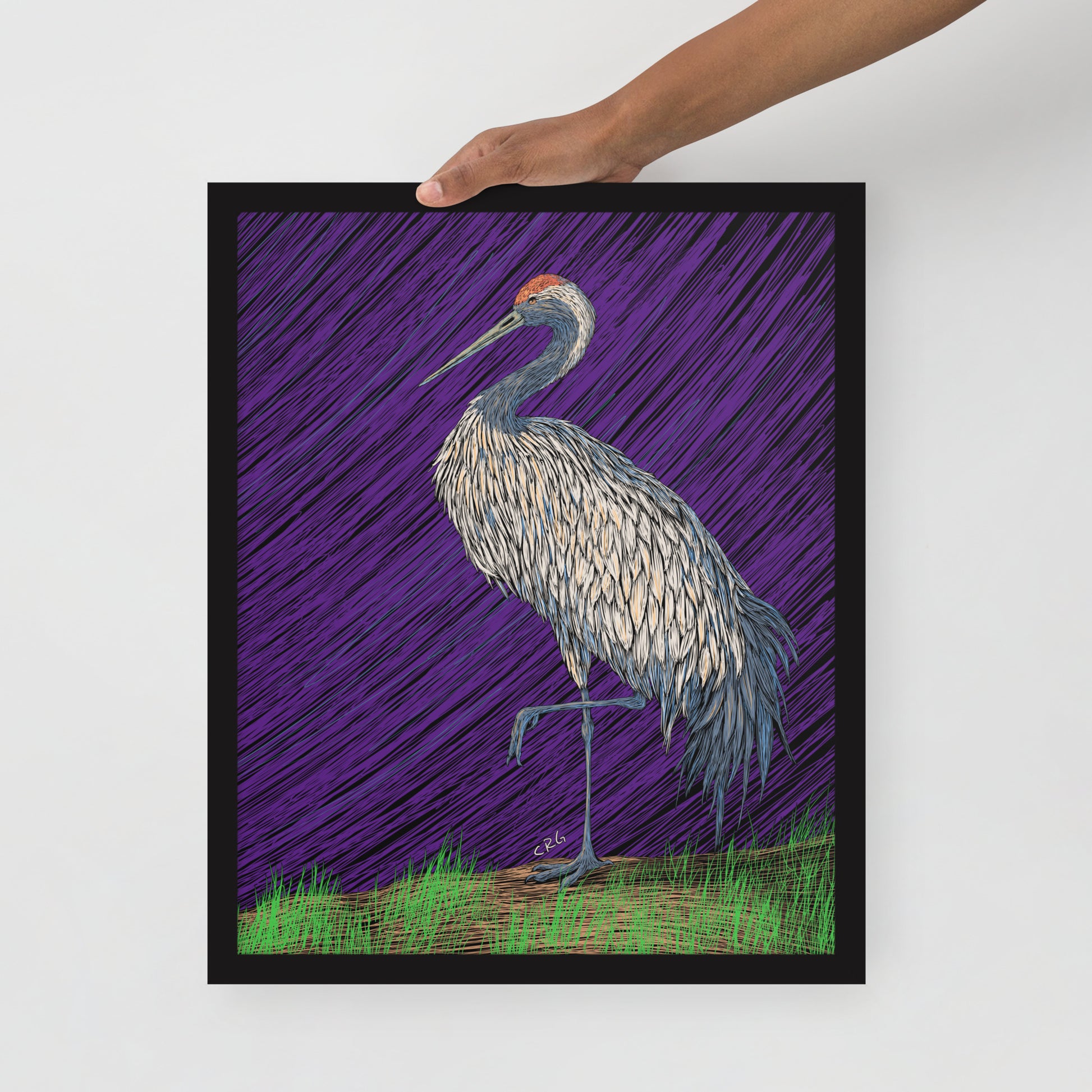 Crane Art Print