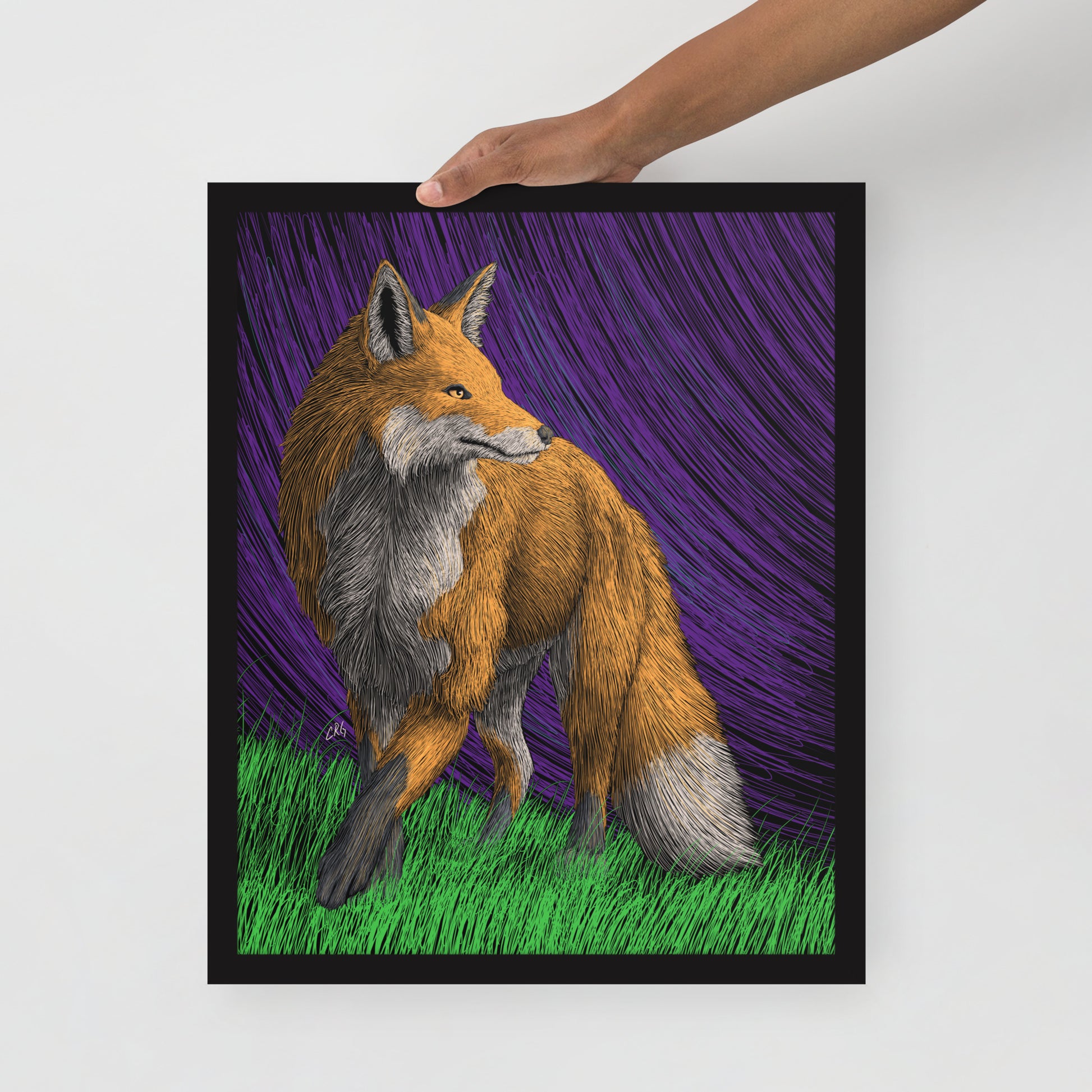 Red Fox Art Print