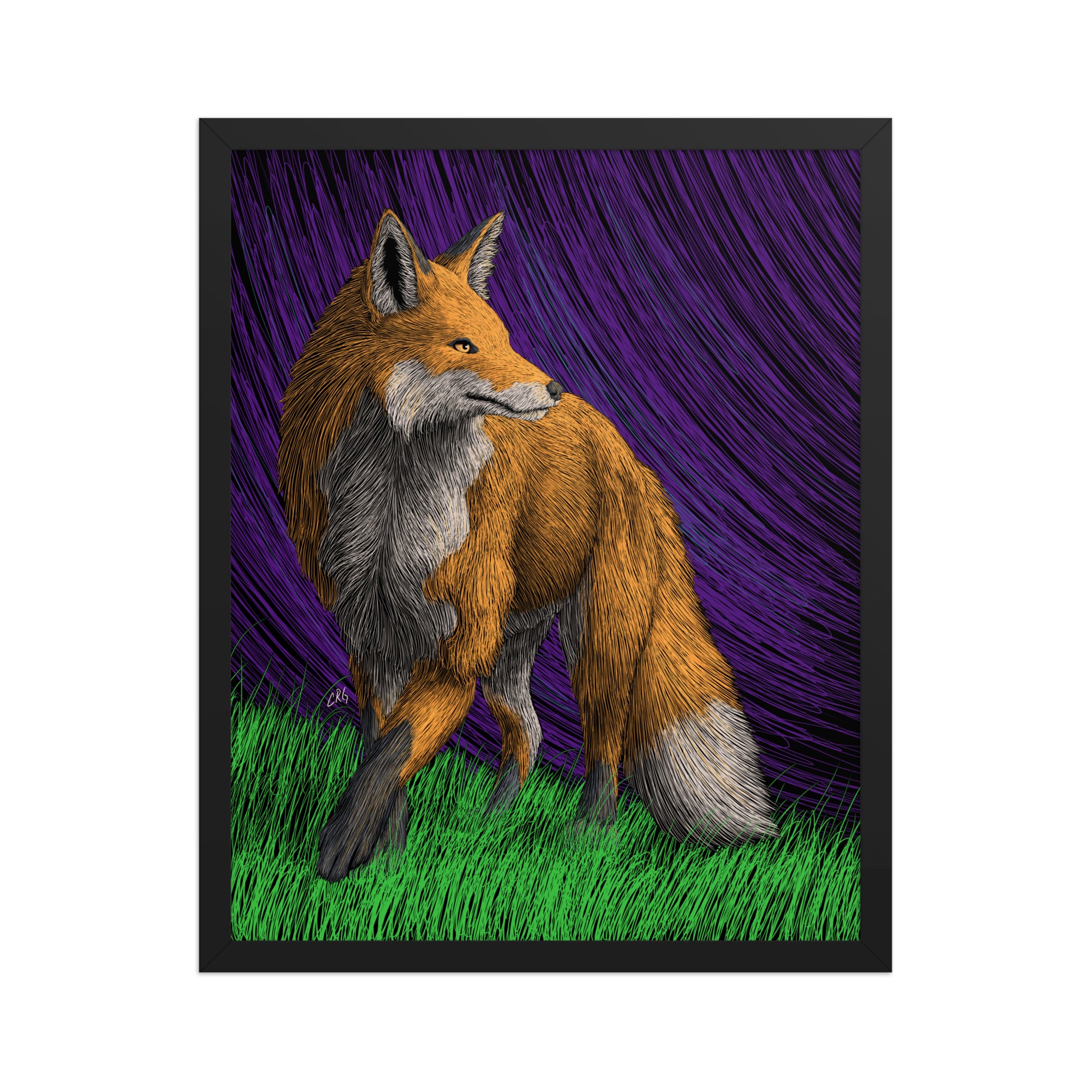 Red Fox Art Print