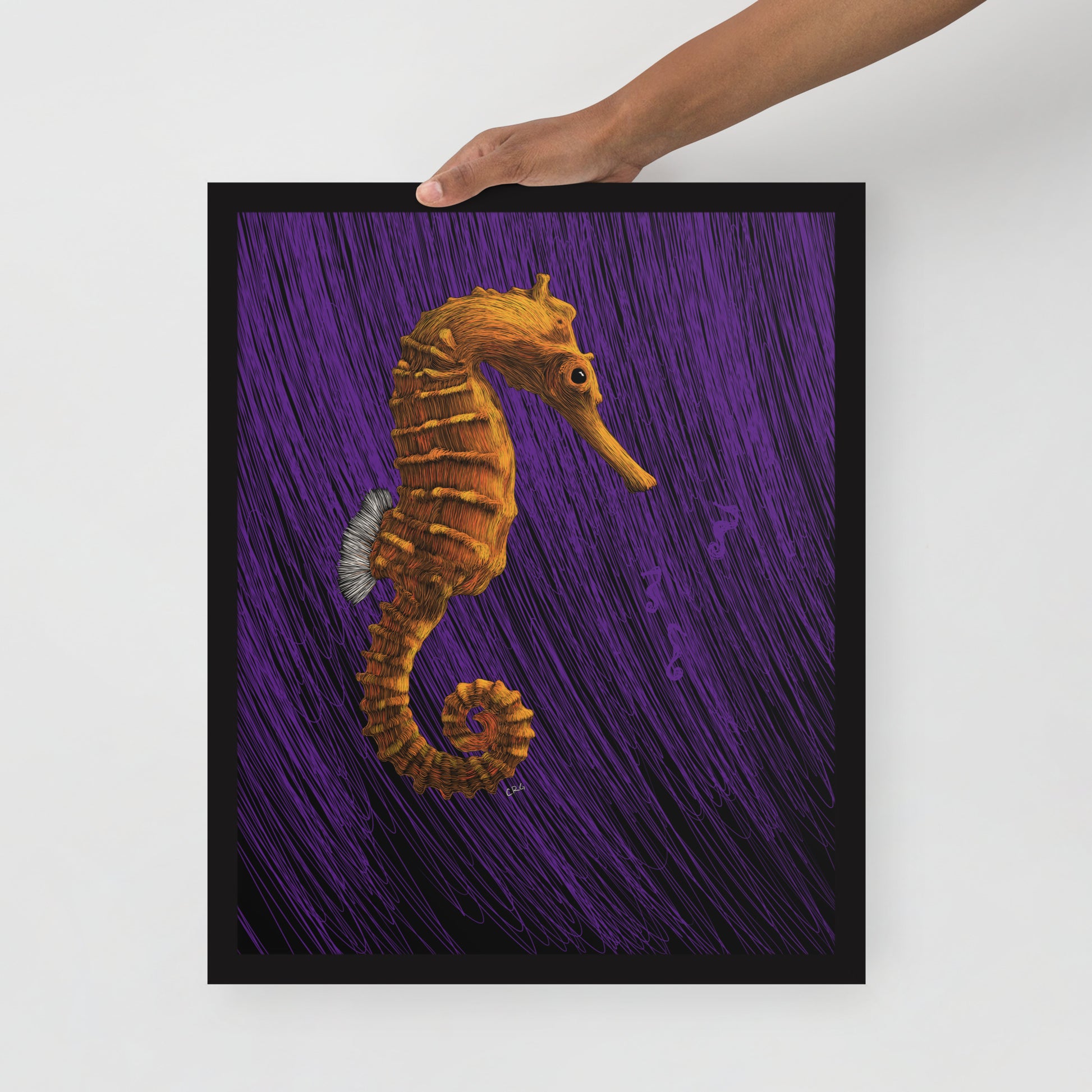 Seahorse Art Print