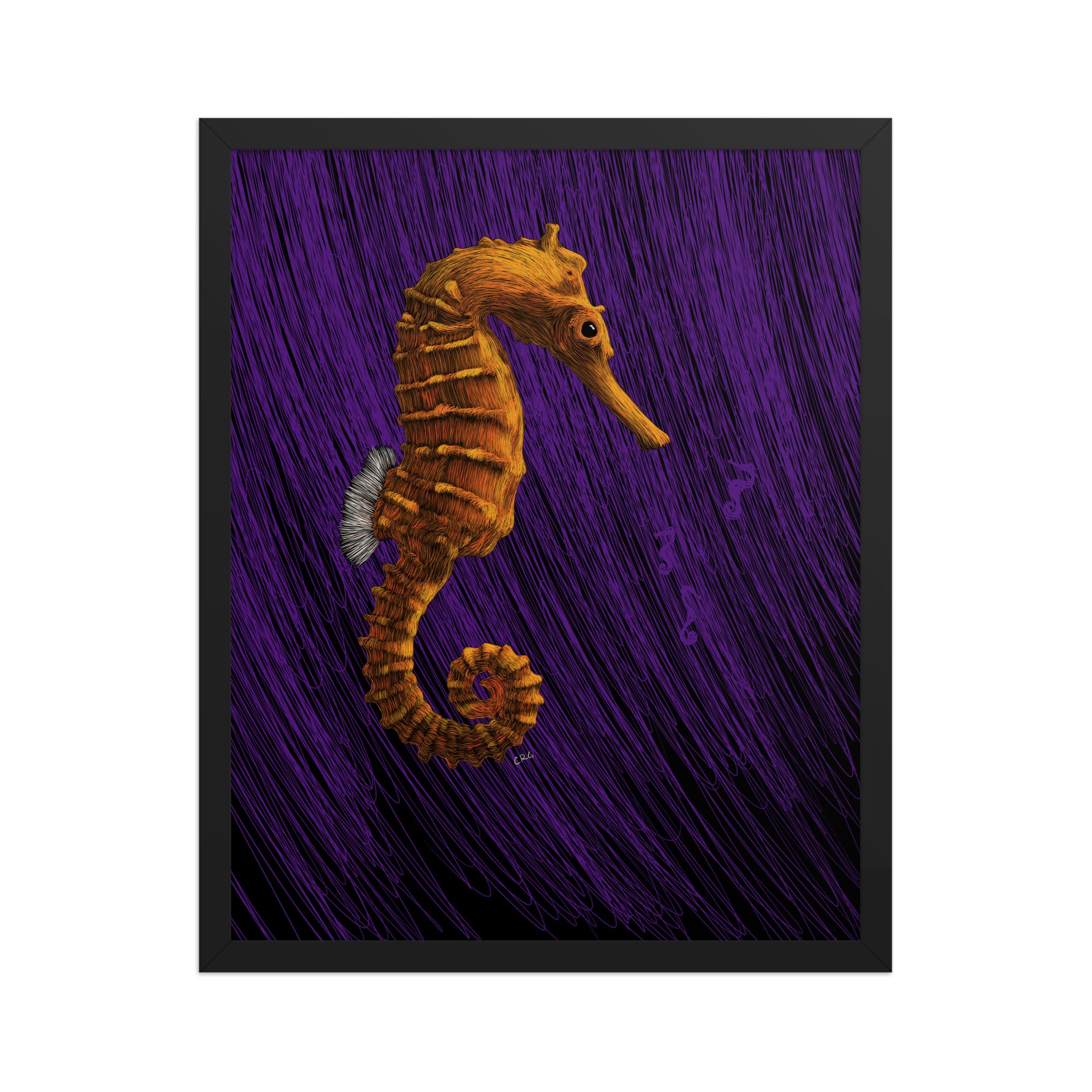 Seahorse Art Print