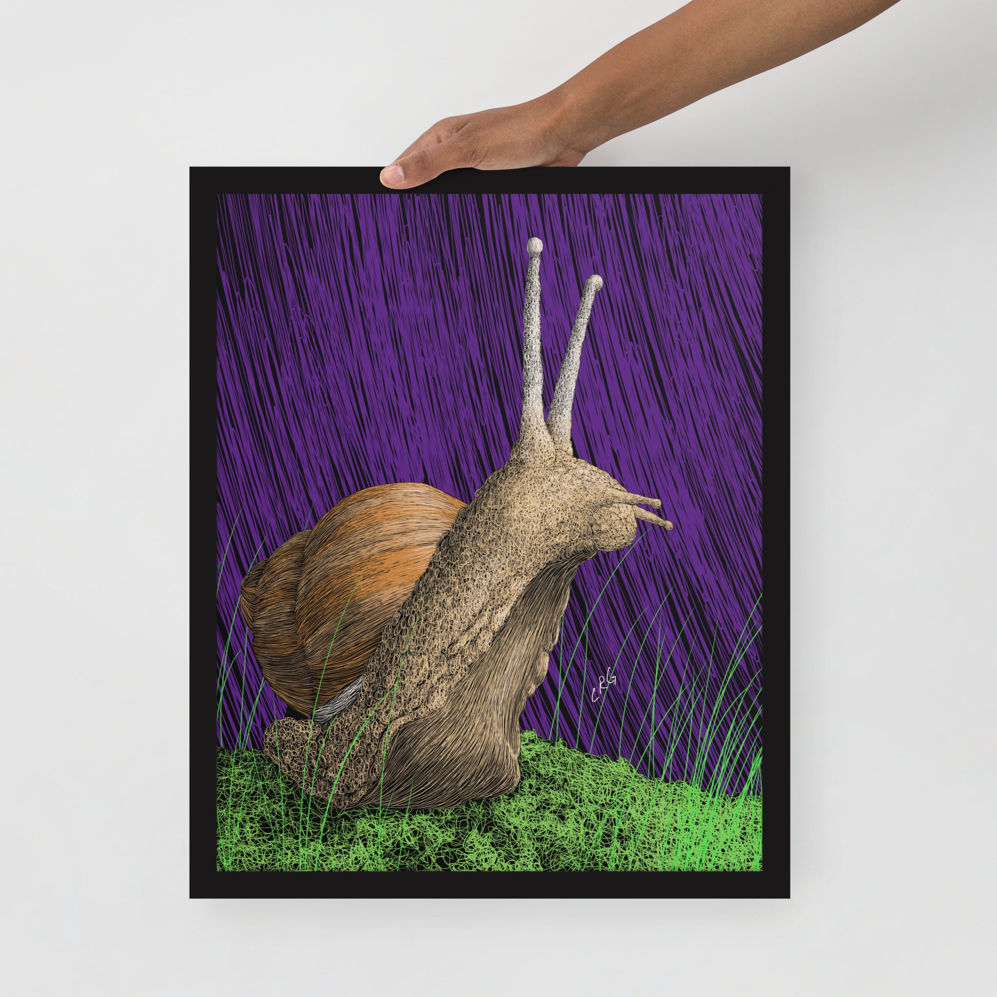 Snail Art Print