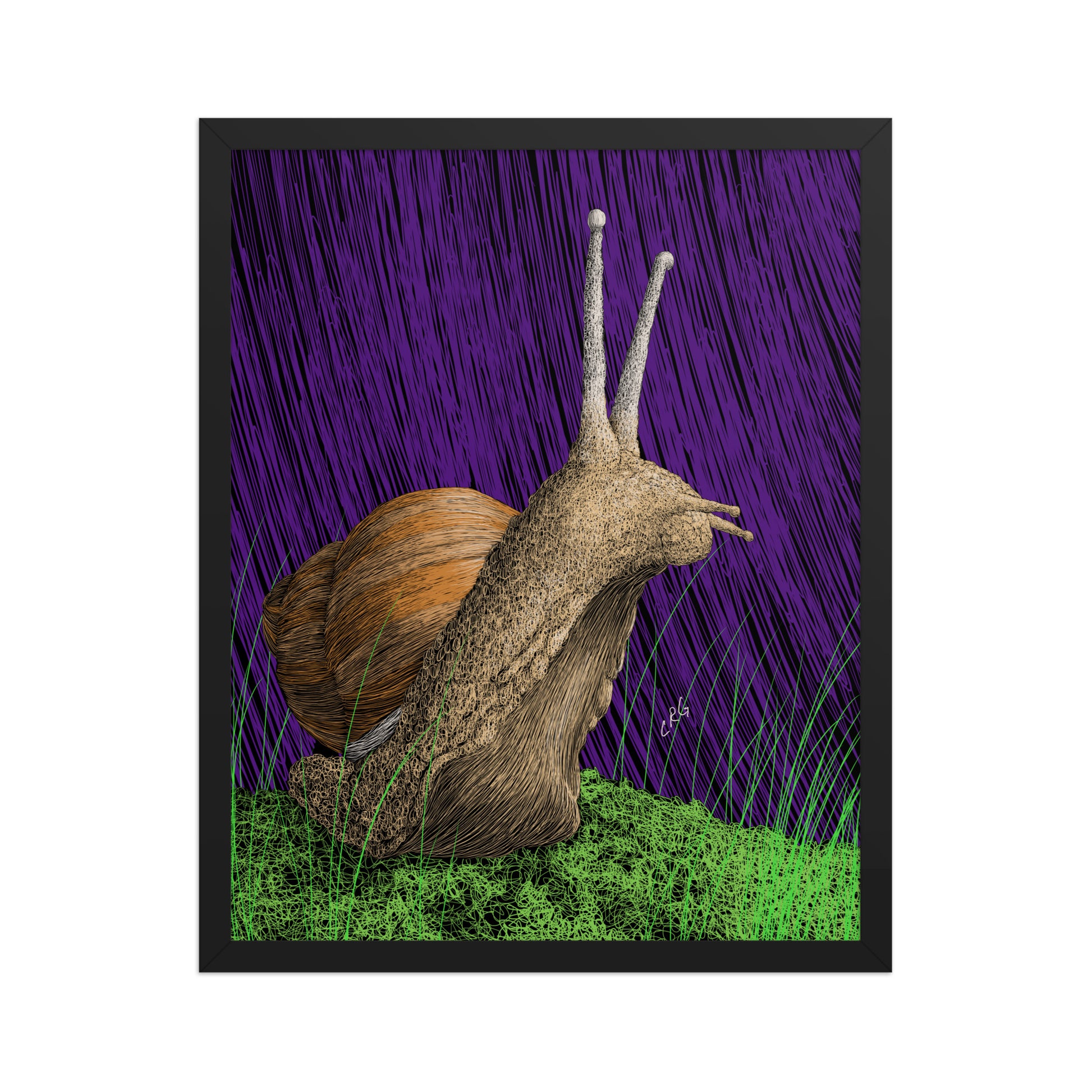 Snail Art Print