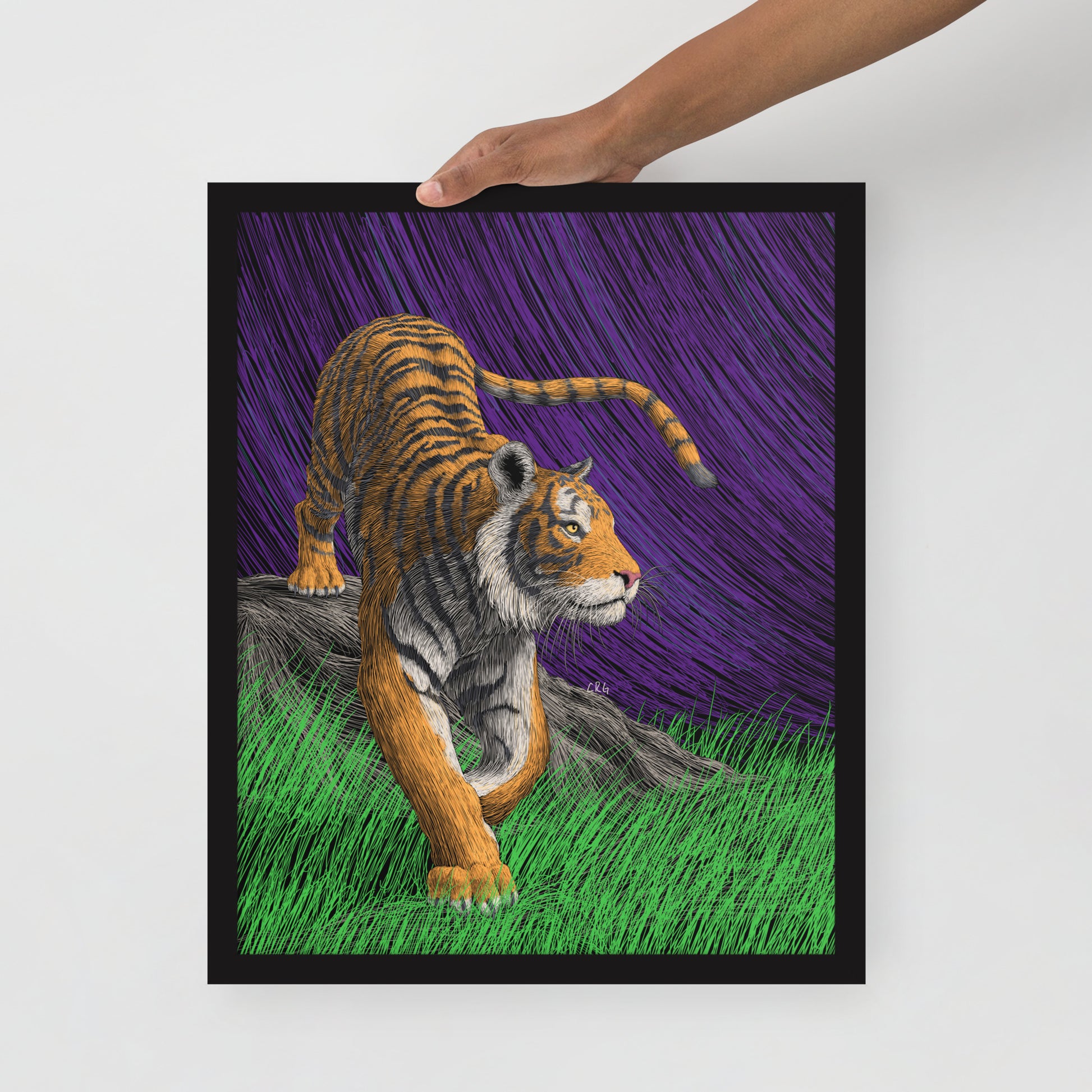 Tiger Art Print