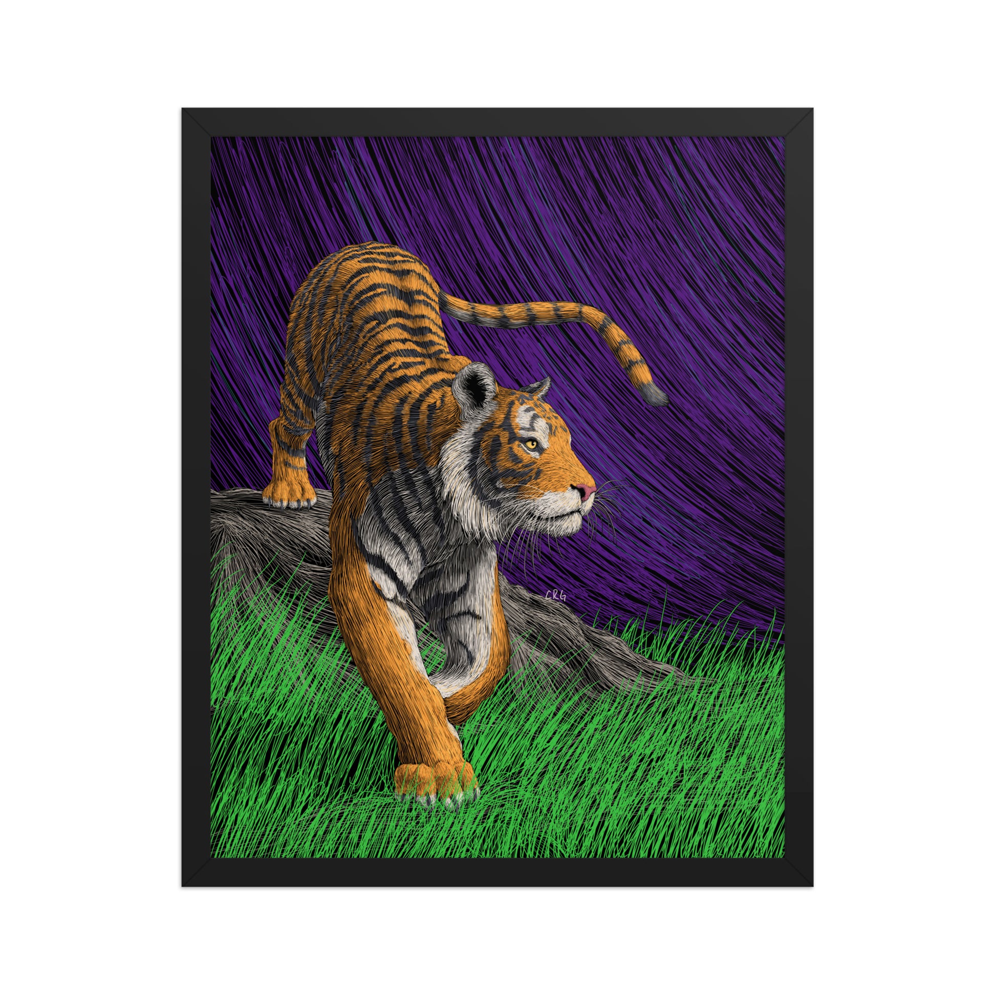 Tiger Art Print