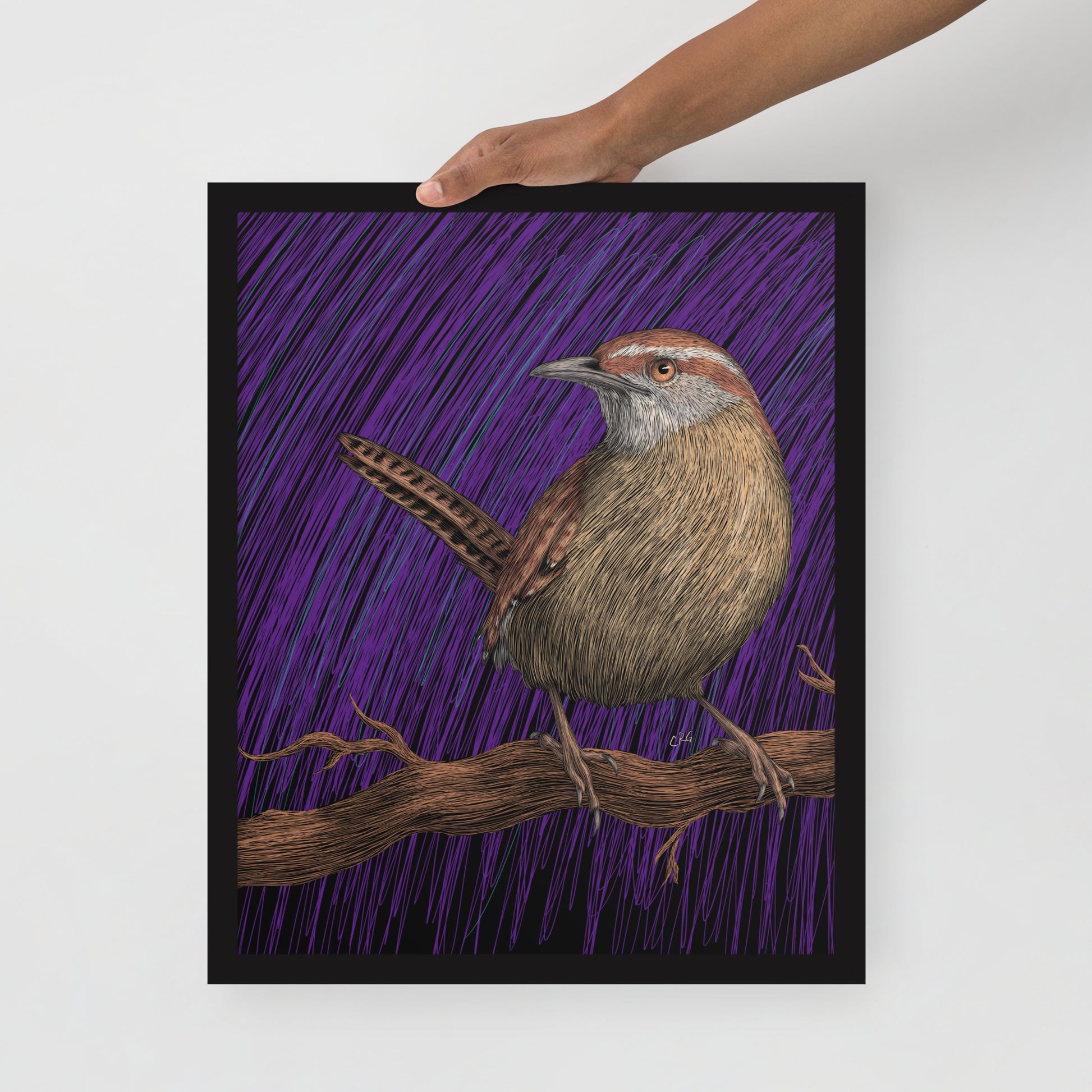 Wren Art Print