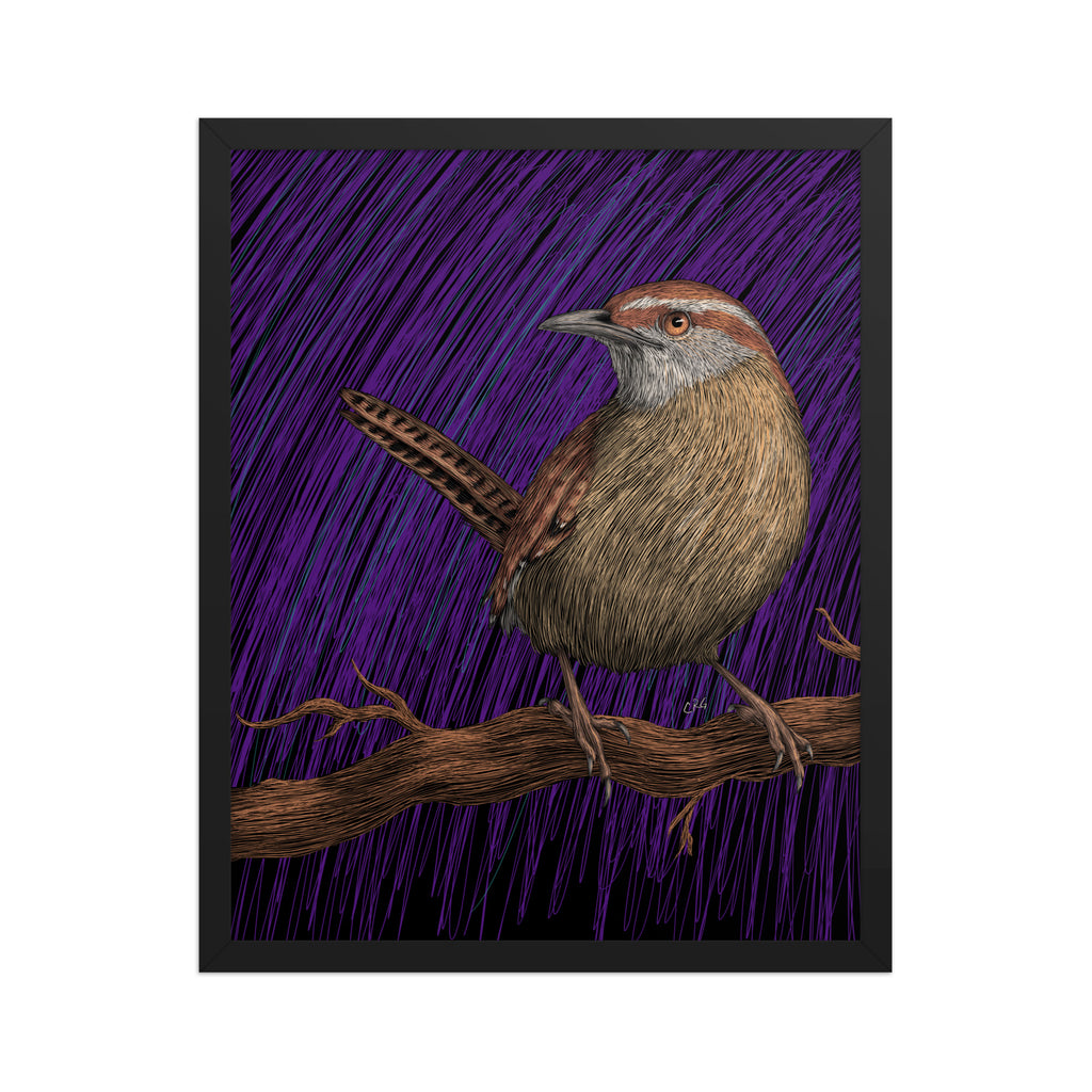 Wren Art Print