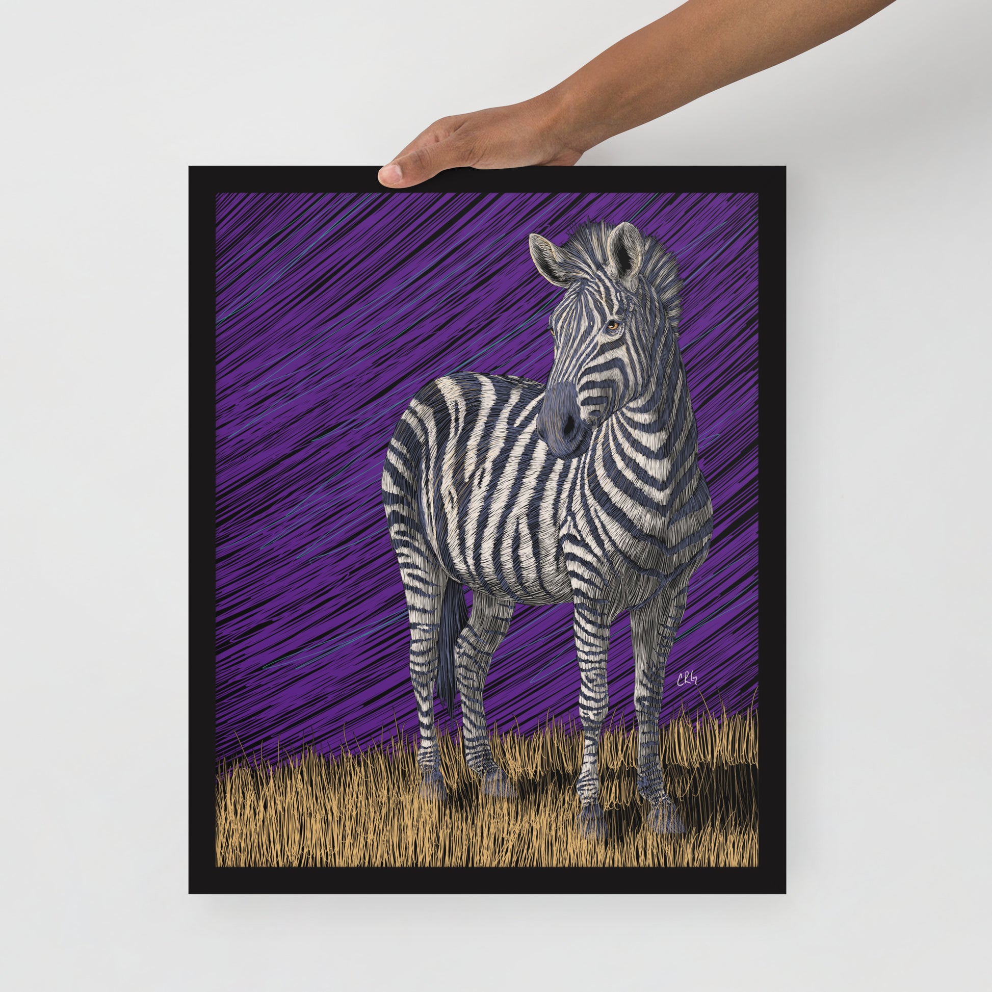 Zebra Art Print