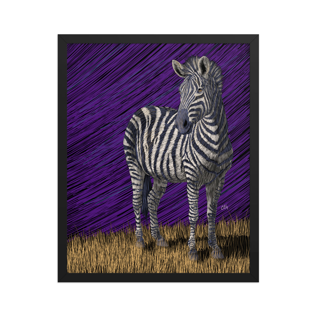 Zebra Art Print