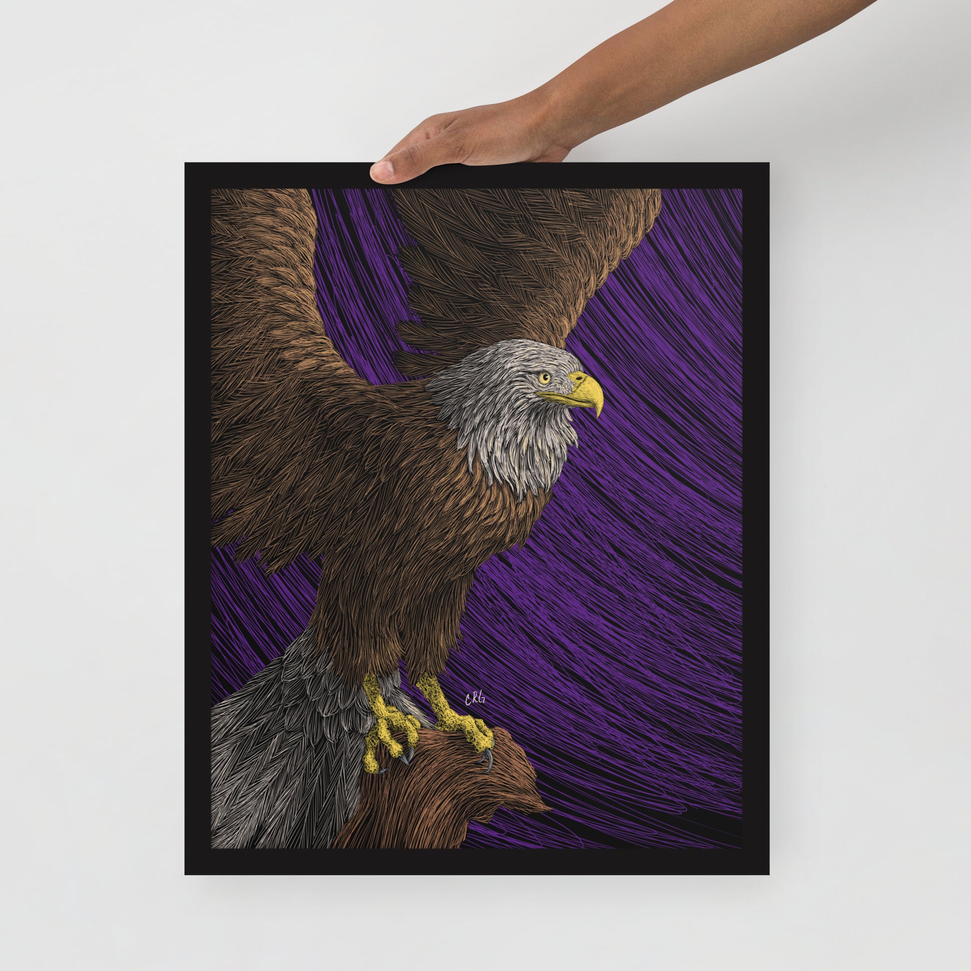 Bald Eagle Art Print