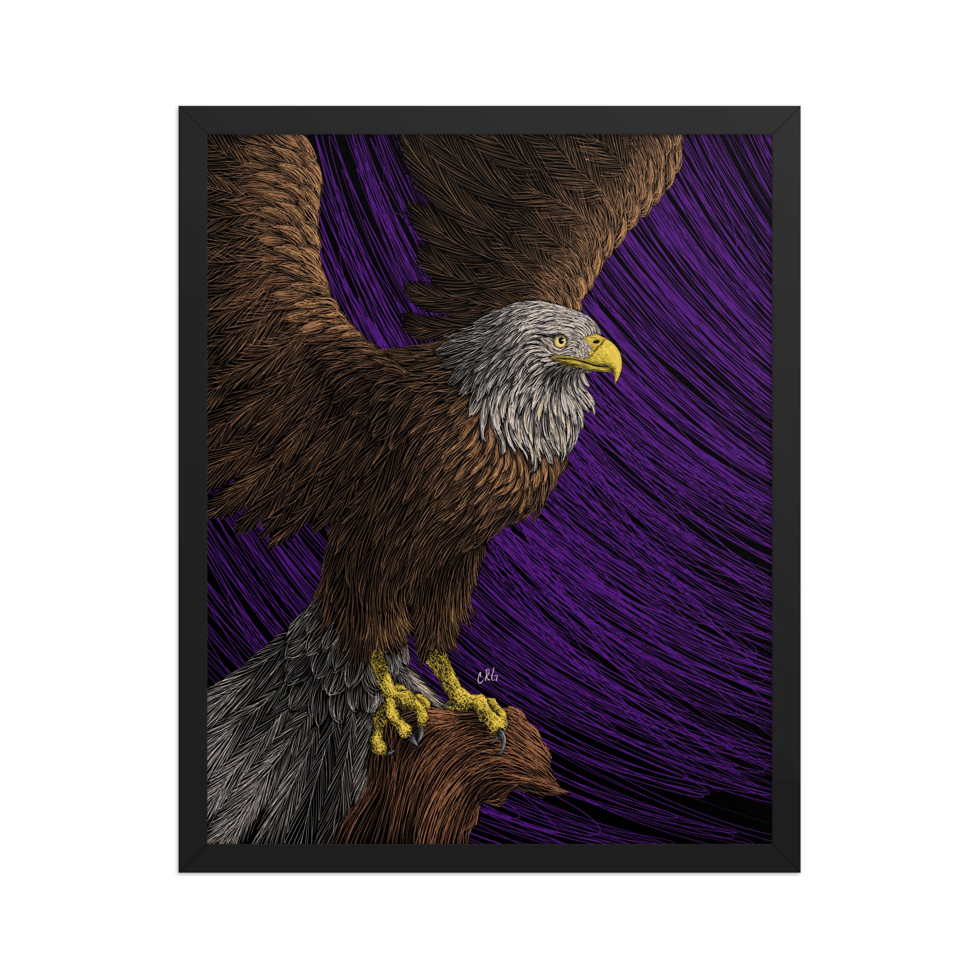 Bald Eagle Art Print