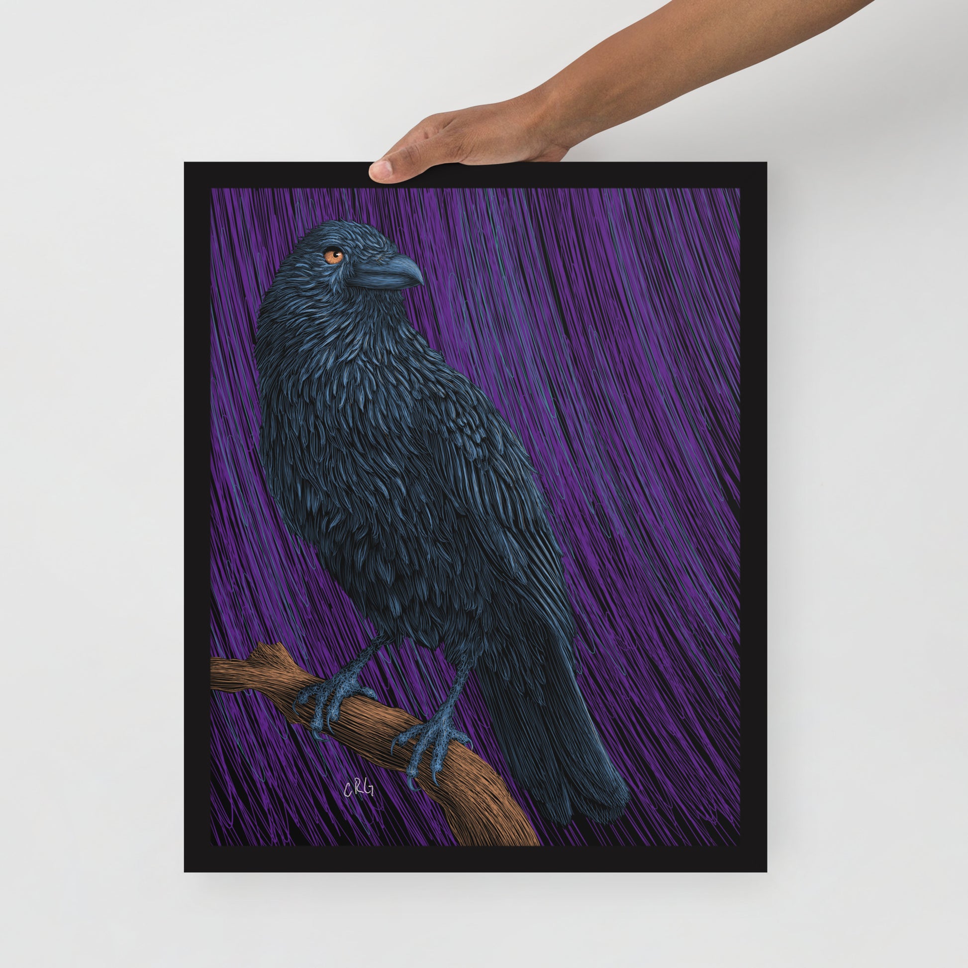 Raven Art Print