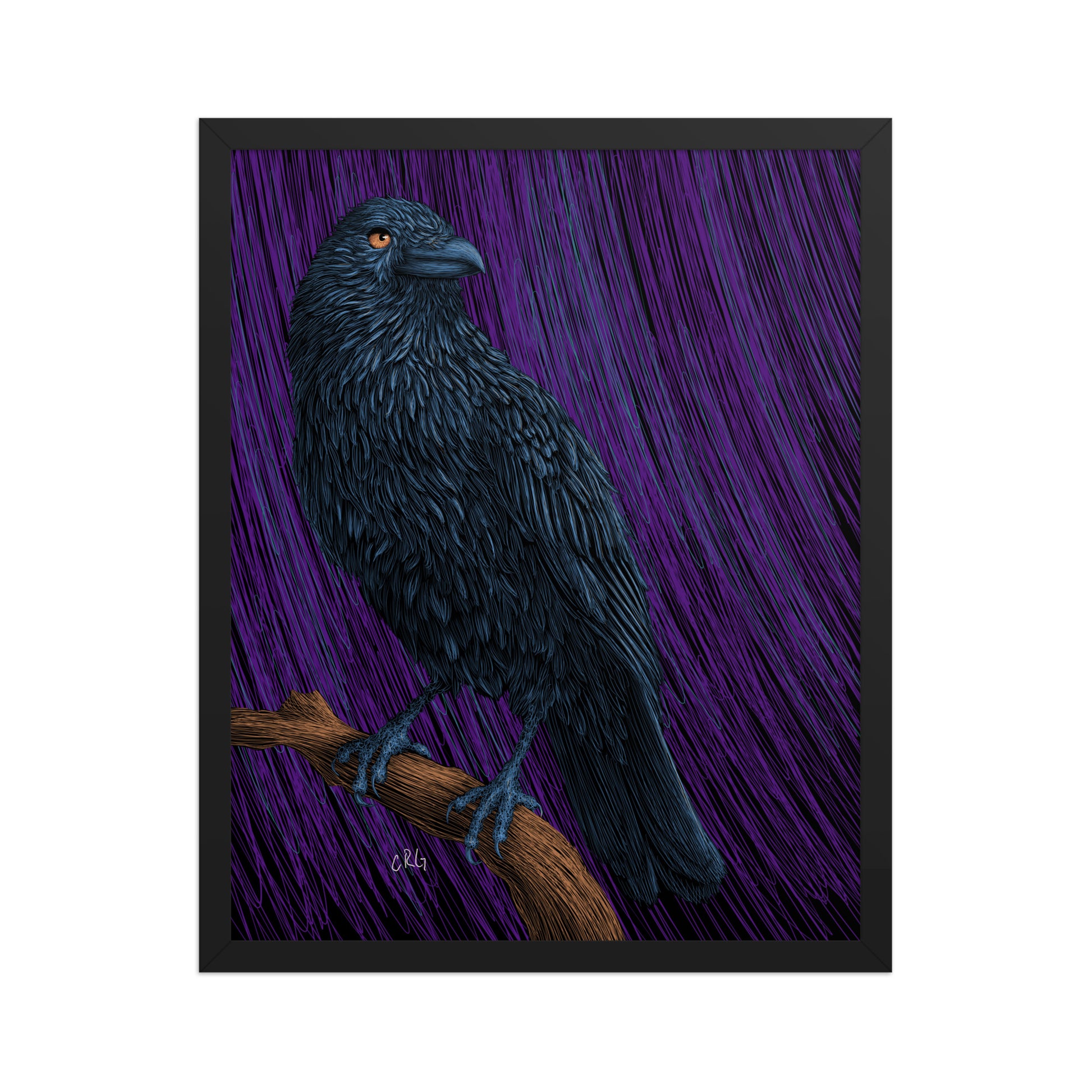 Raven Art Print