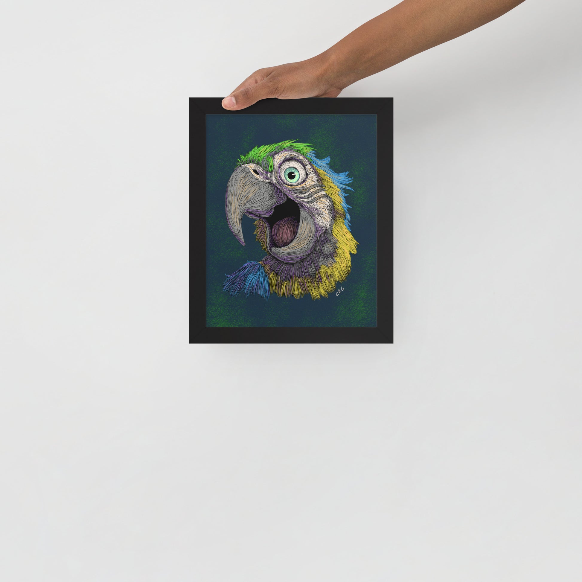 Blue and Gold Macaw Art Print