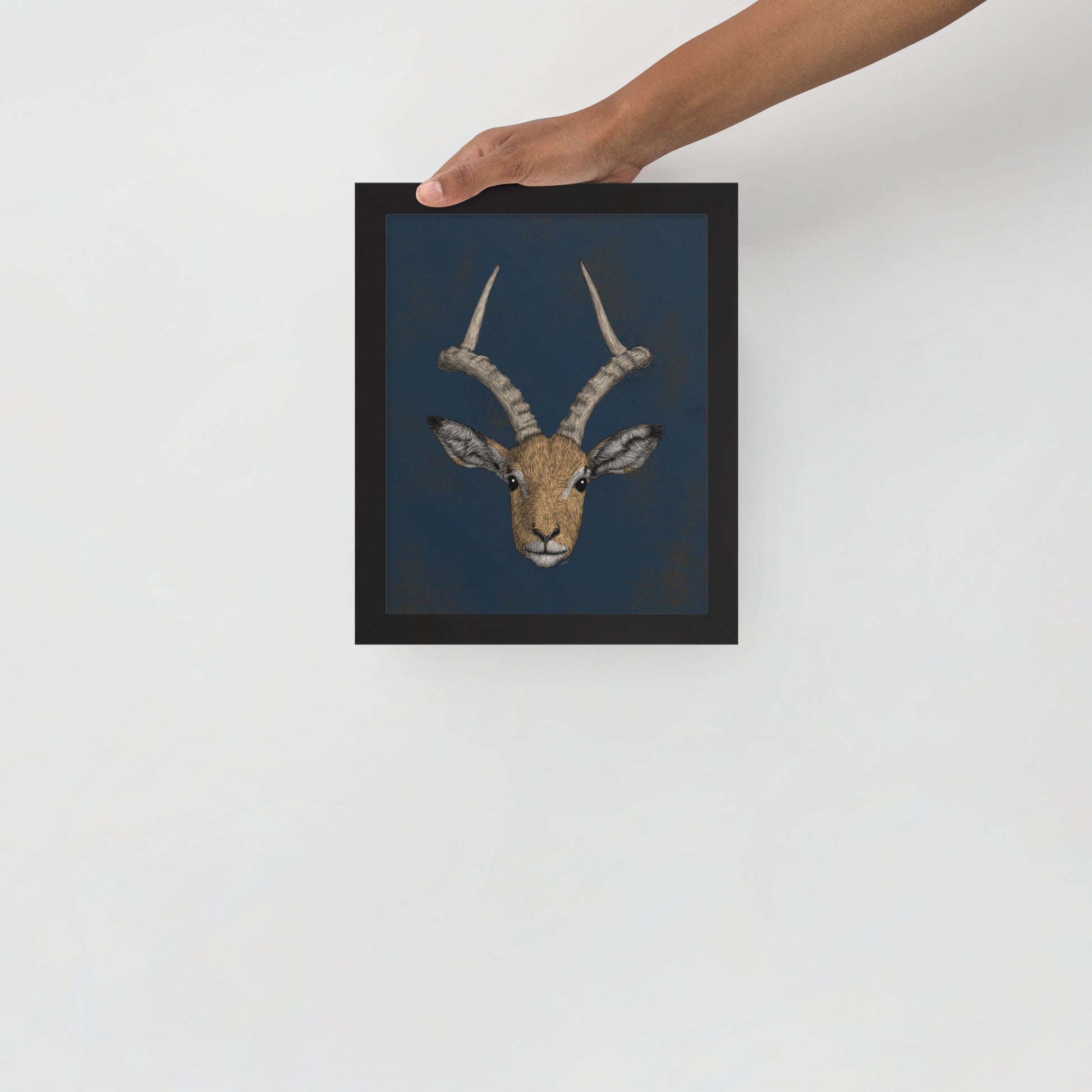 Impala Antelope Art Print