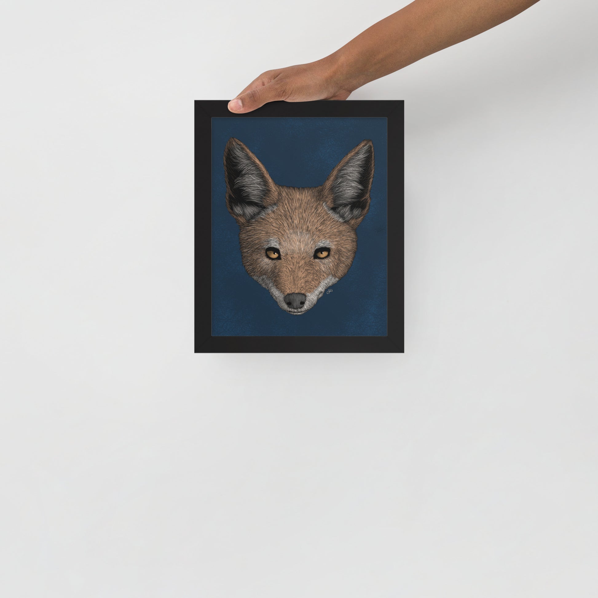 Jackal Art Print