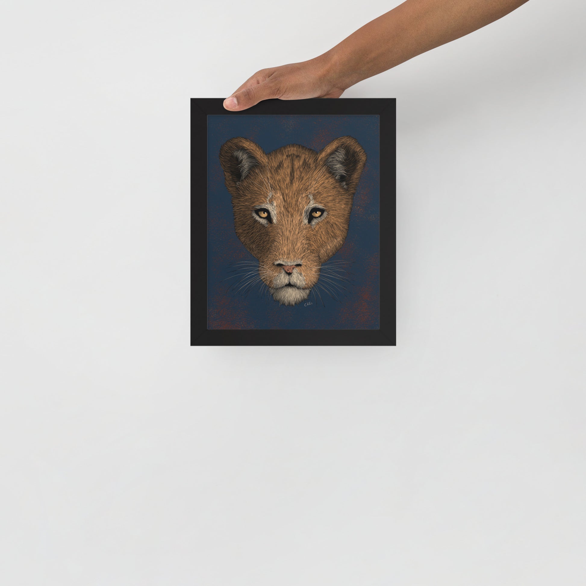 Lioness Art Print