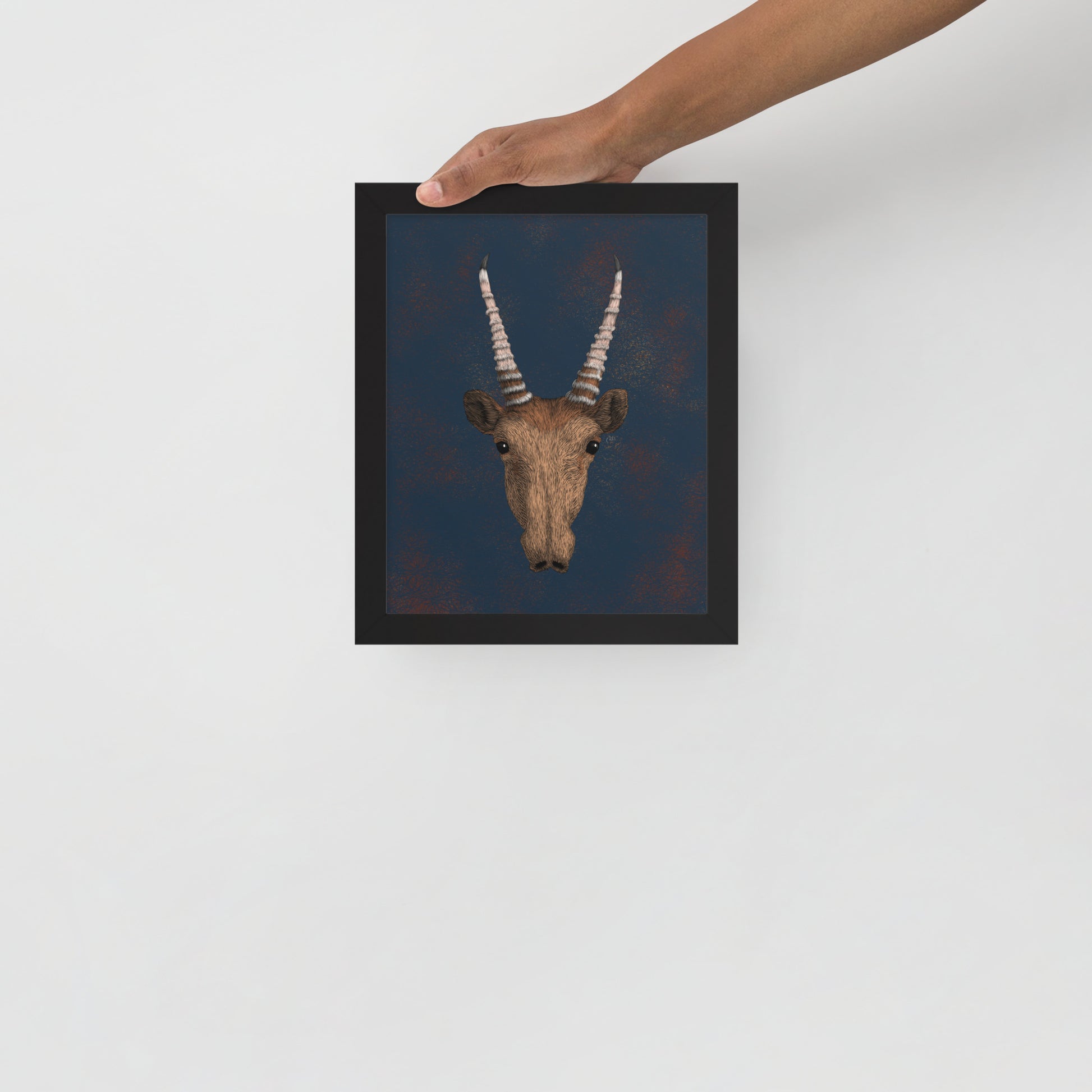 Saiga Antelope Art Print