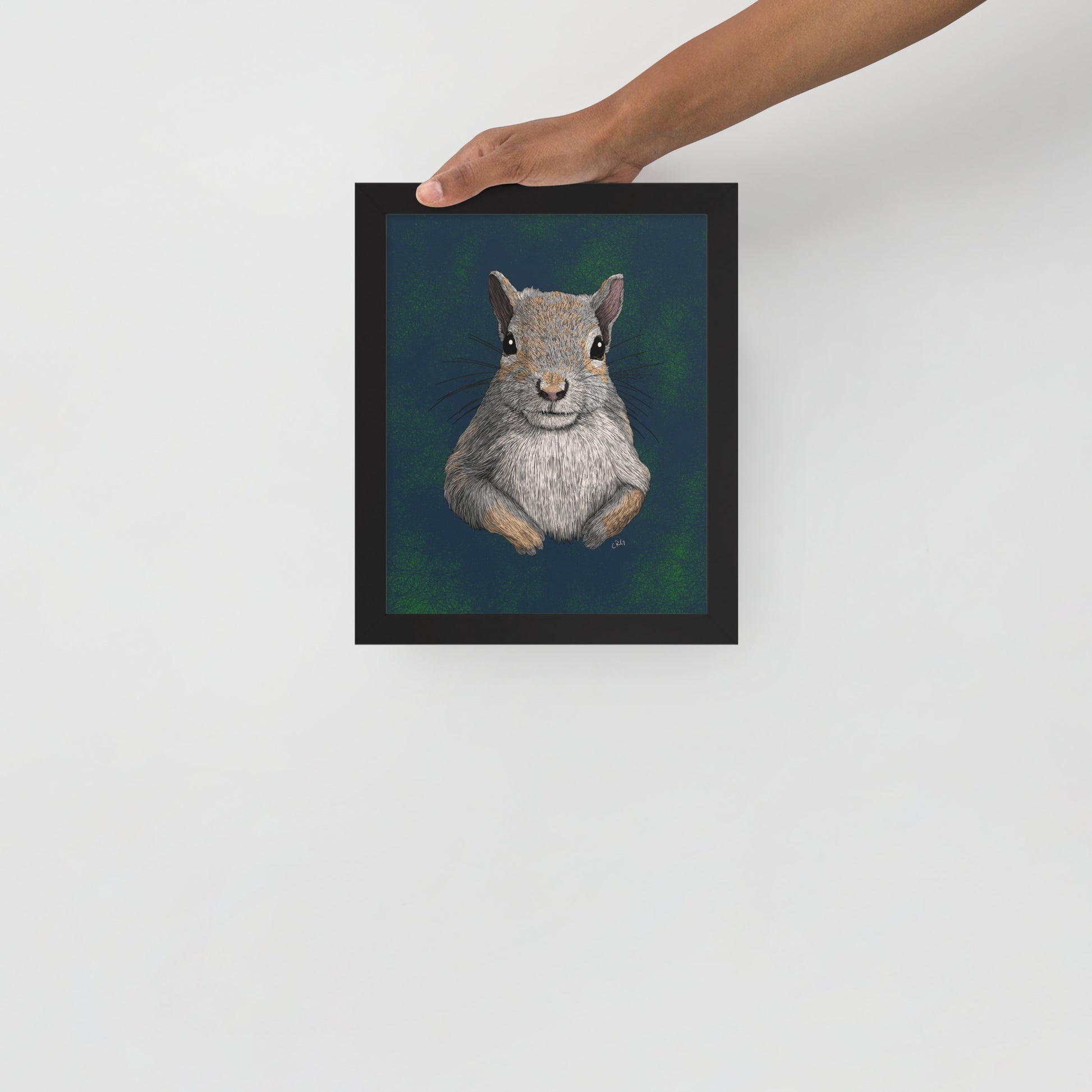 Squirrel Art Print