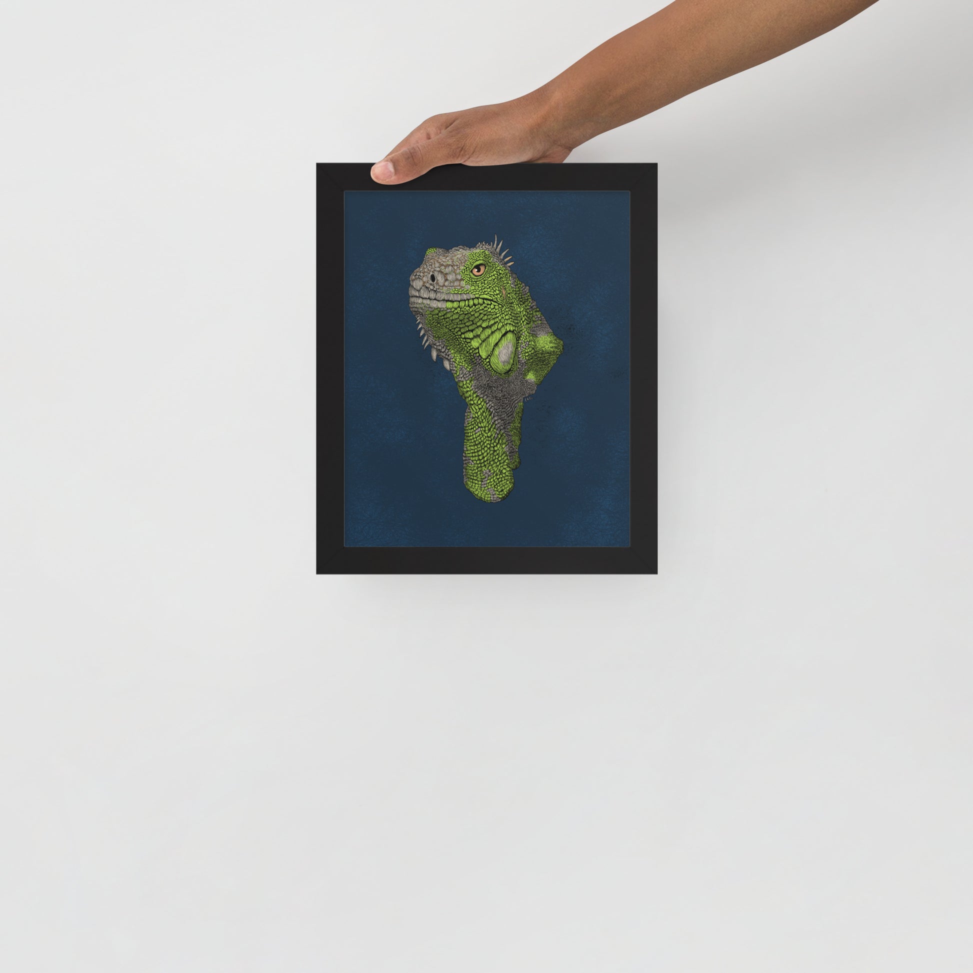 Iguana Art Print