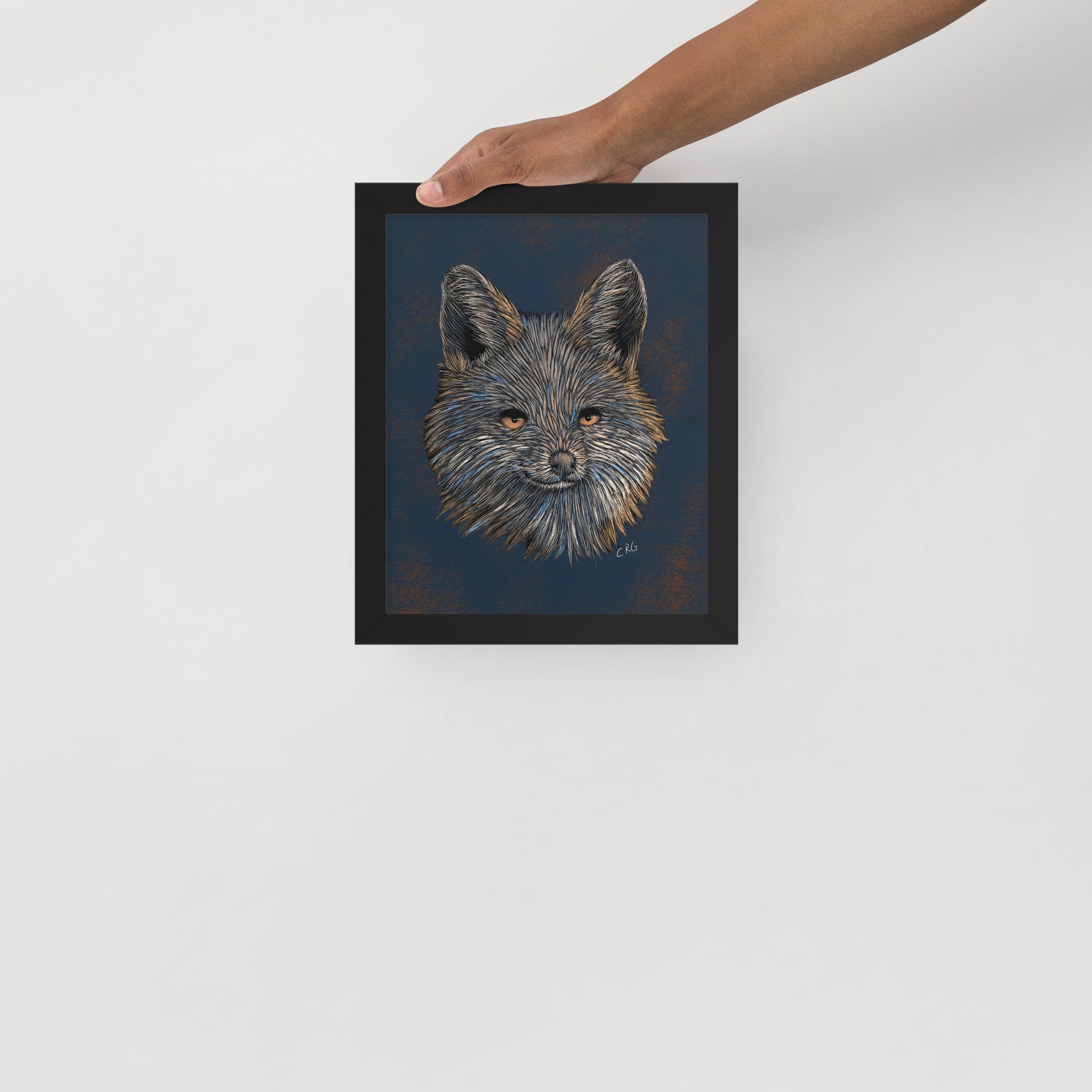 Gray Fox Art Print