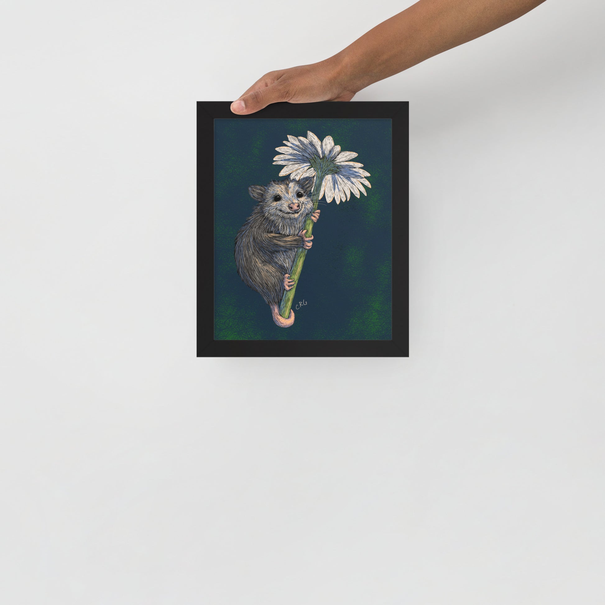 Opossum Hugging Daisy Art Print