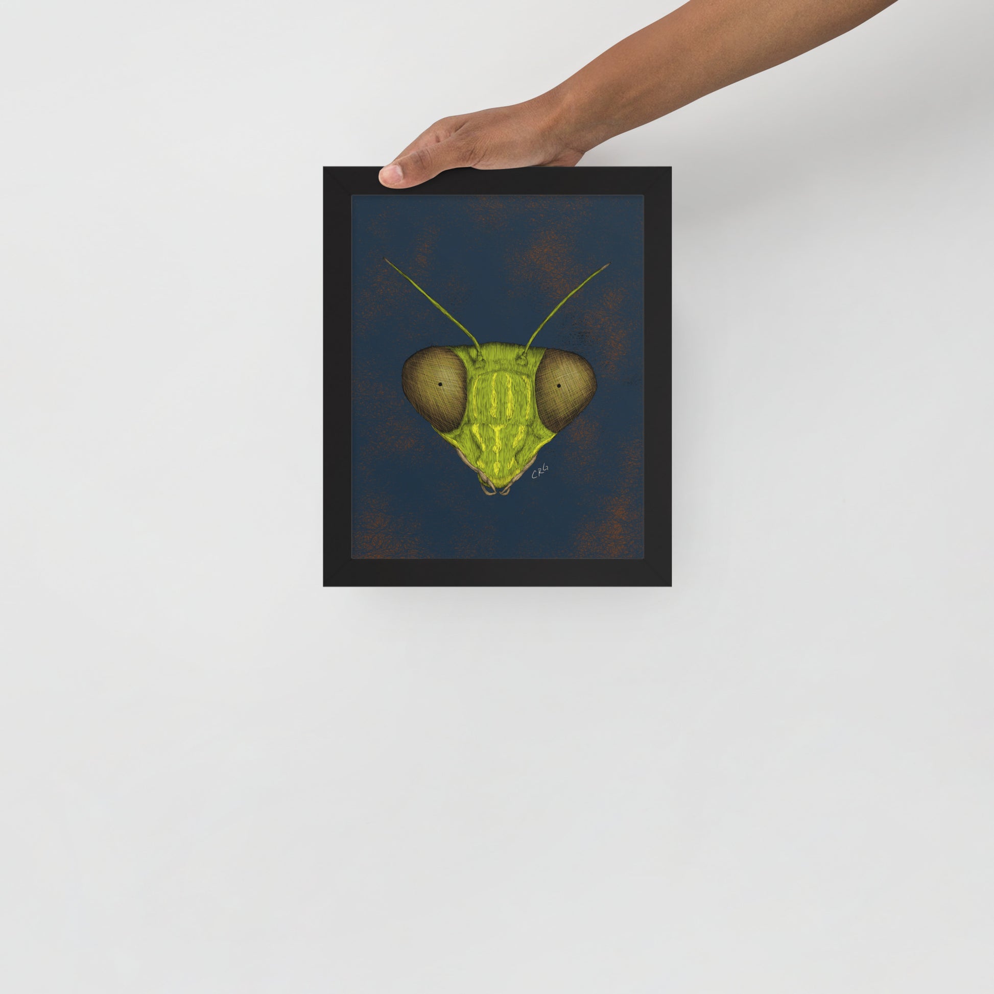 Praying Mantis Art Print