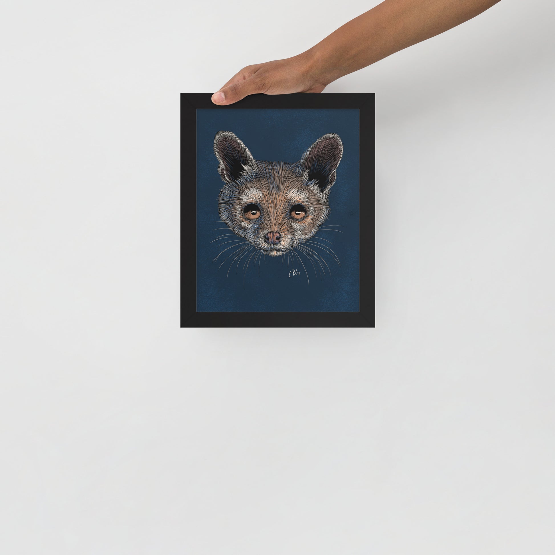 Ringtail Cat Art Print
