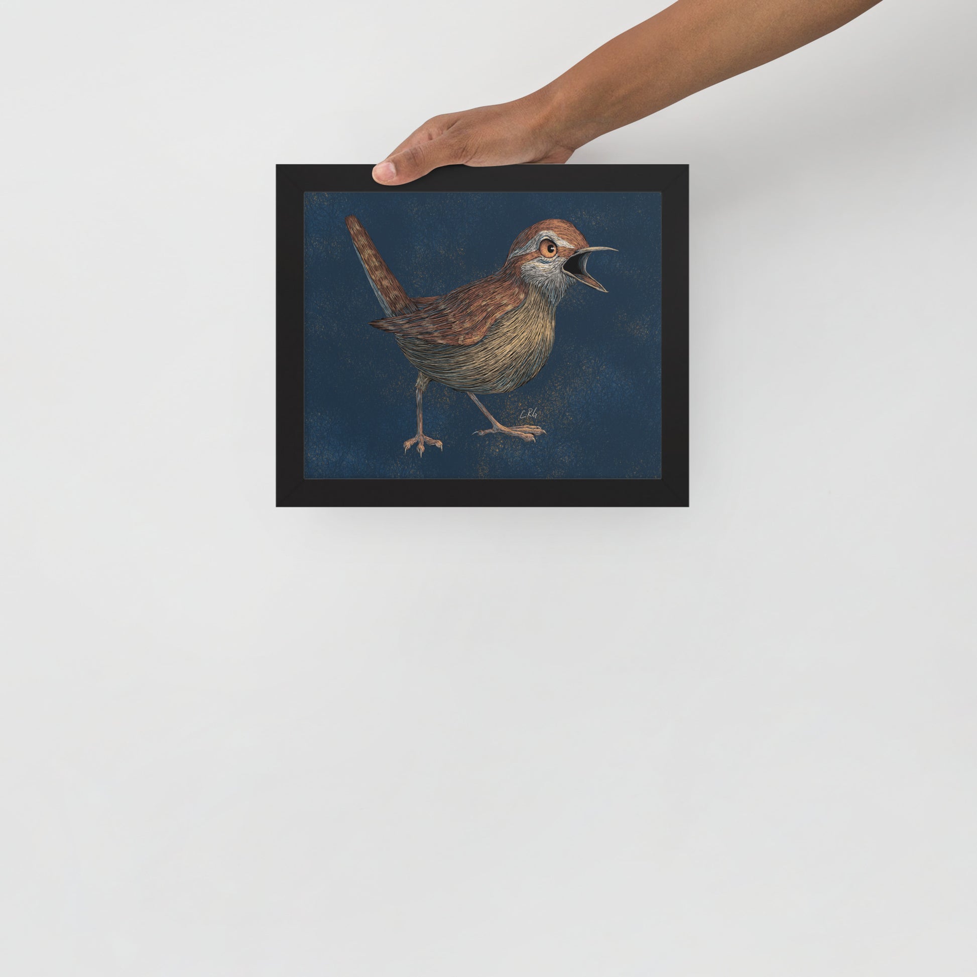 Angry Wren Art Print