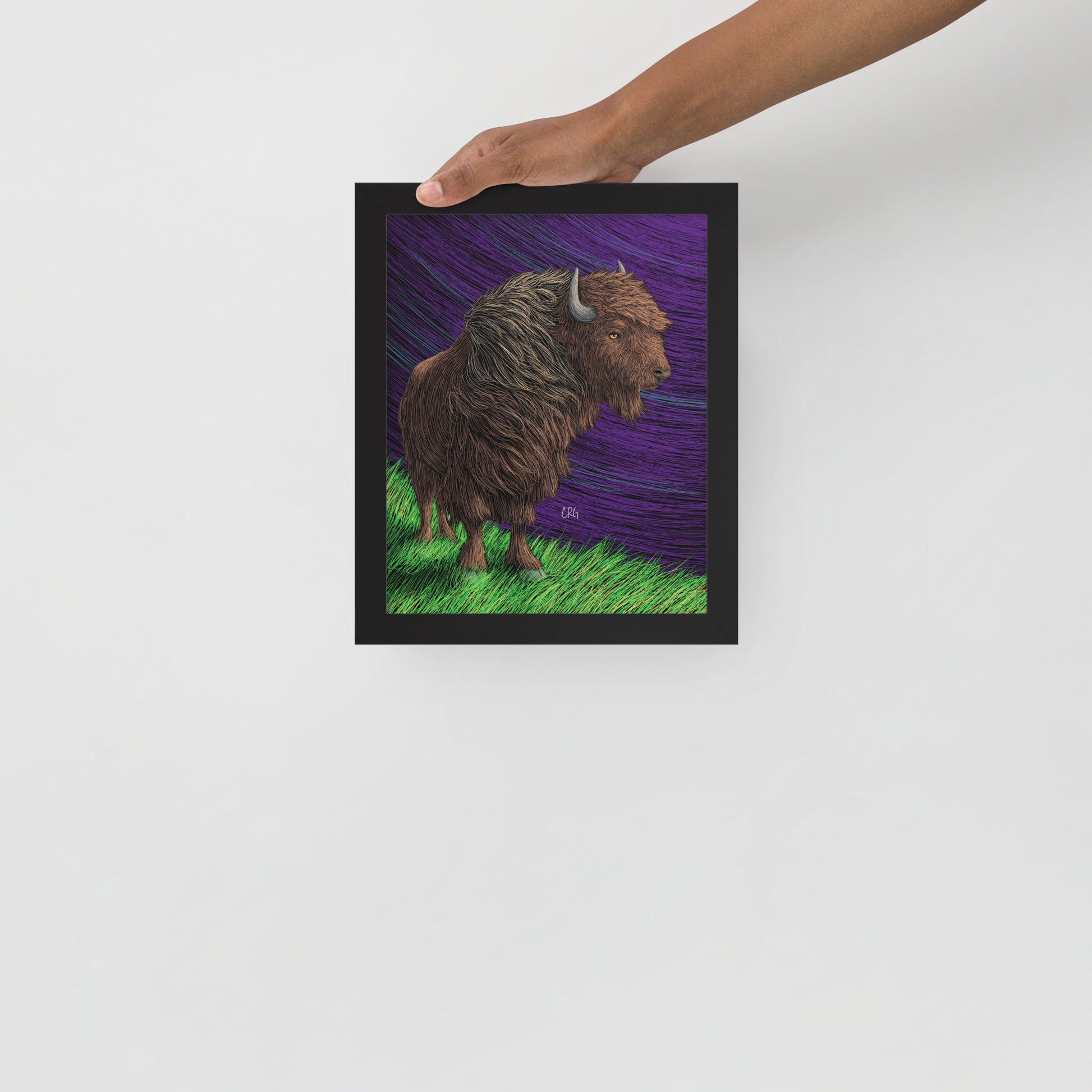Bison Art Print