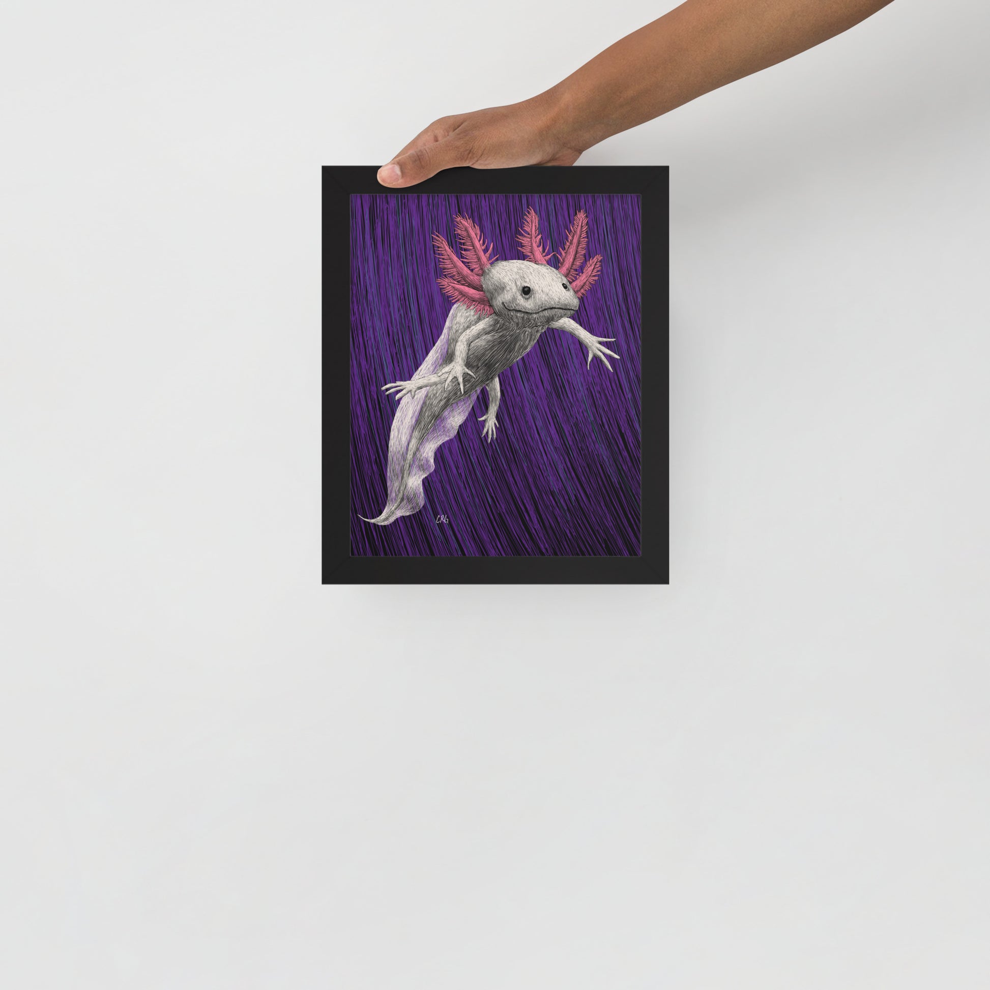 Axolotl Art Print