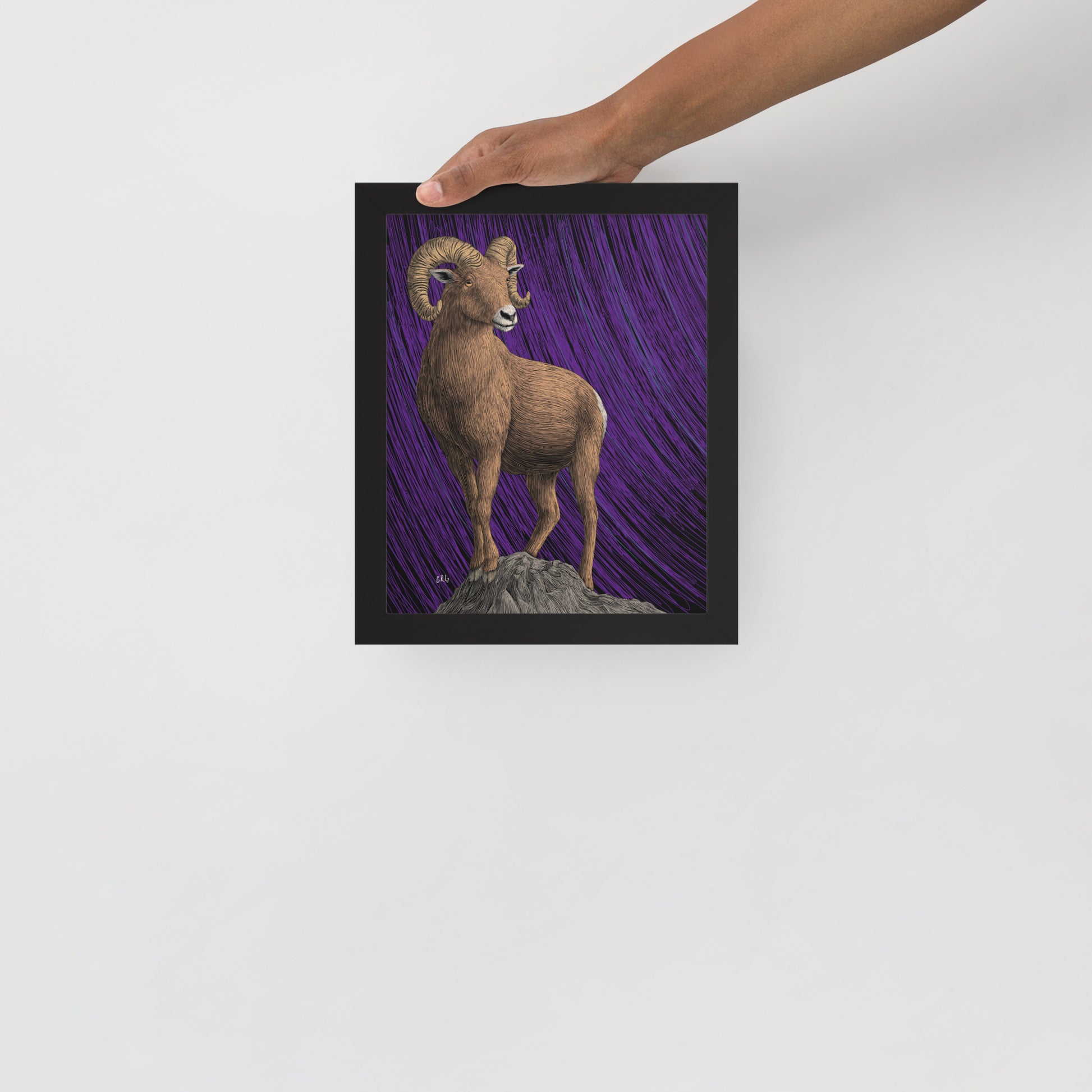 Bighorn Sheep Art Print