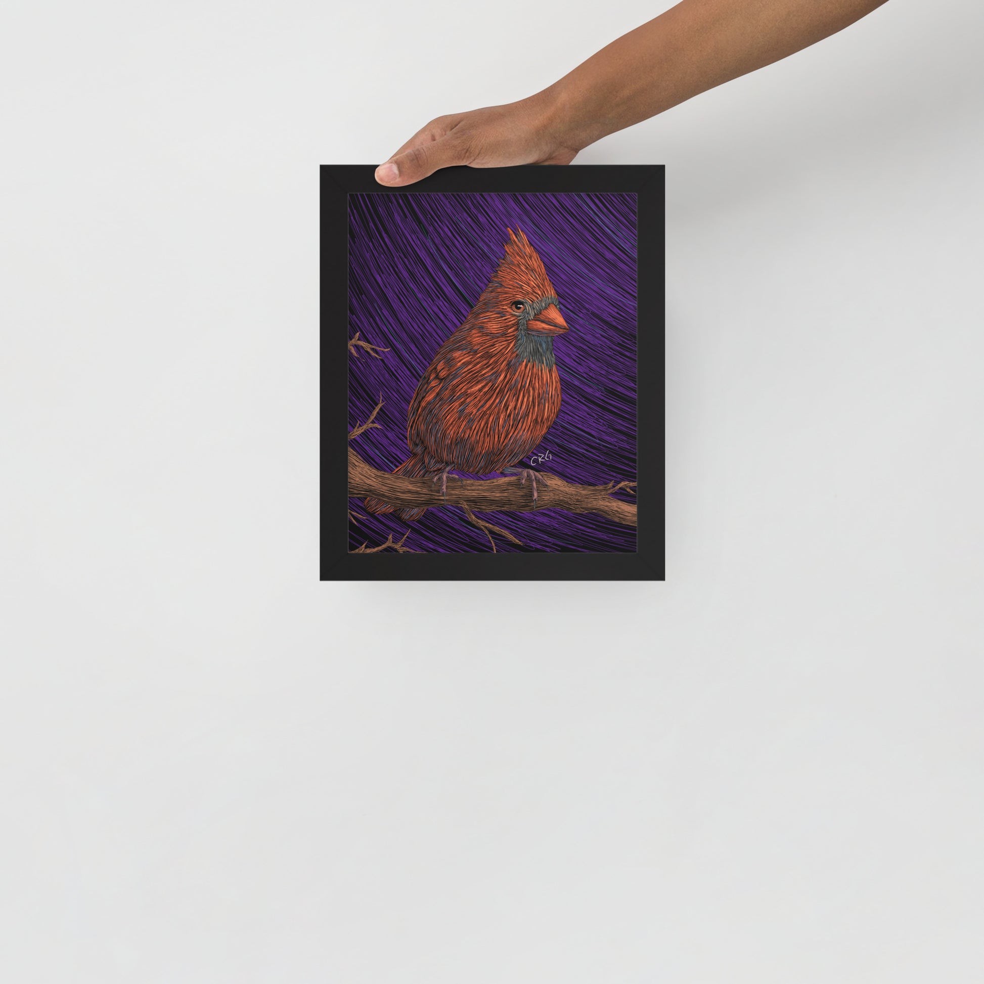 Cardinal Art Print