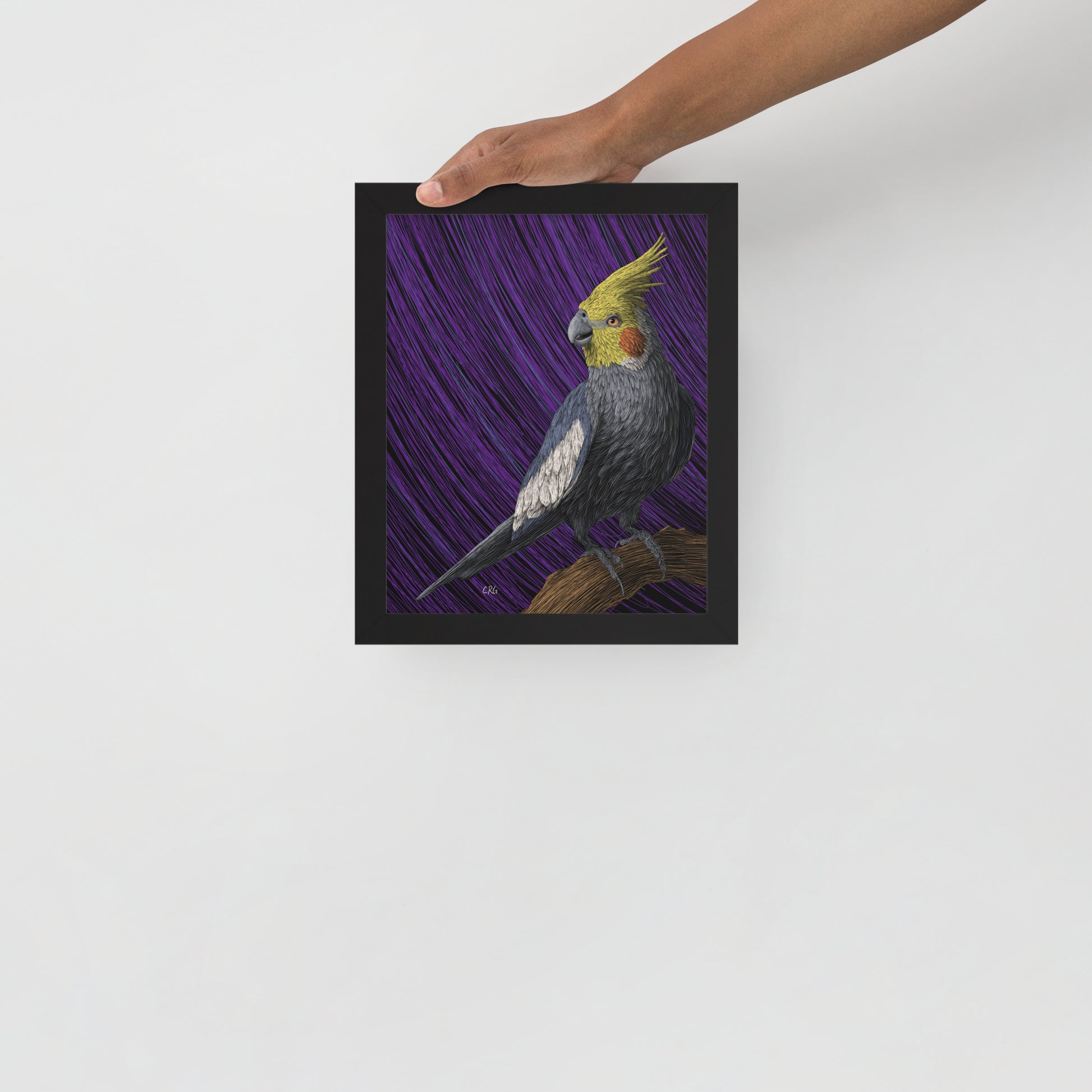 Cockatiel Art Print