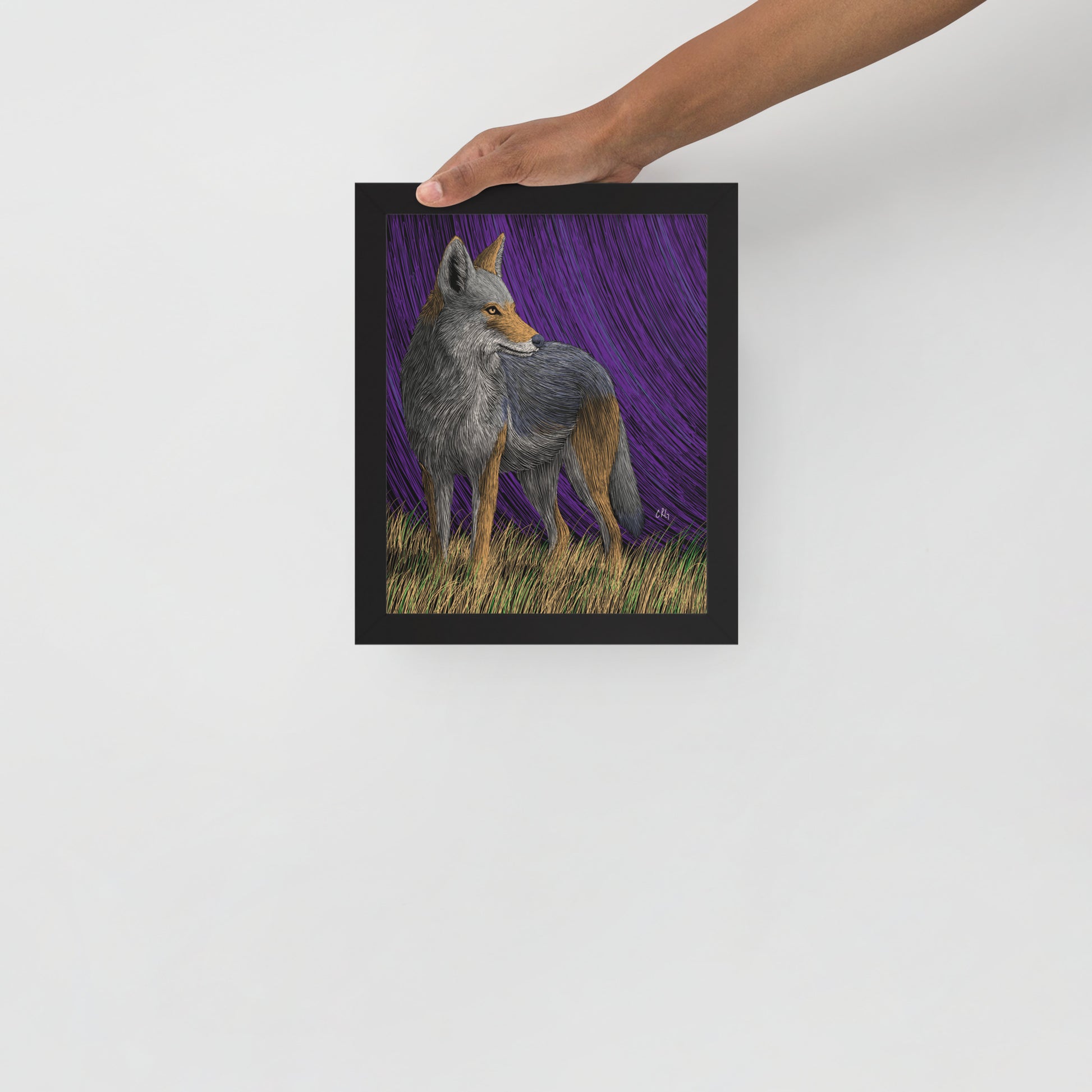 Coyote Art Print