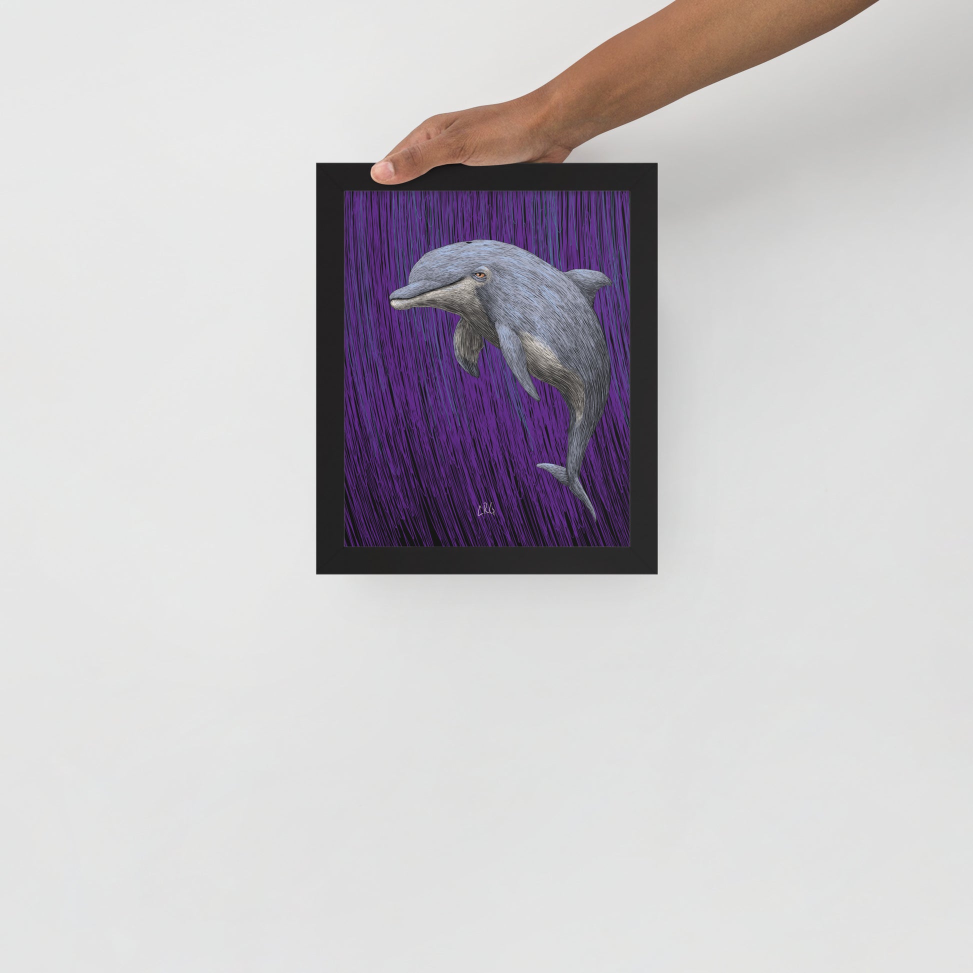 Dolphin Art Print
