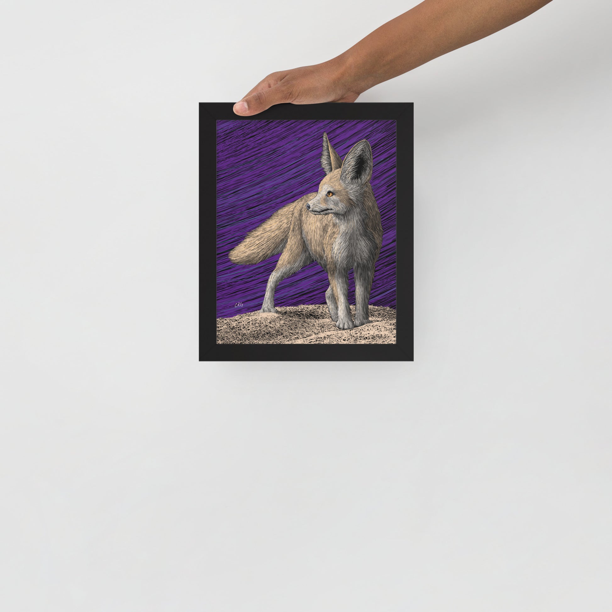 Fennec Fox Art Print