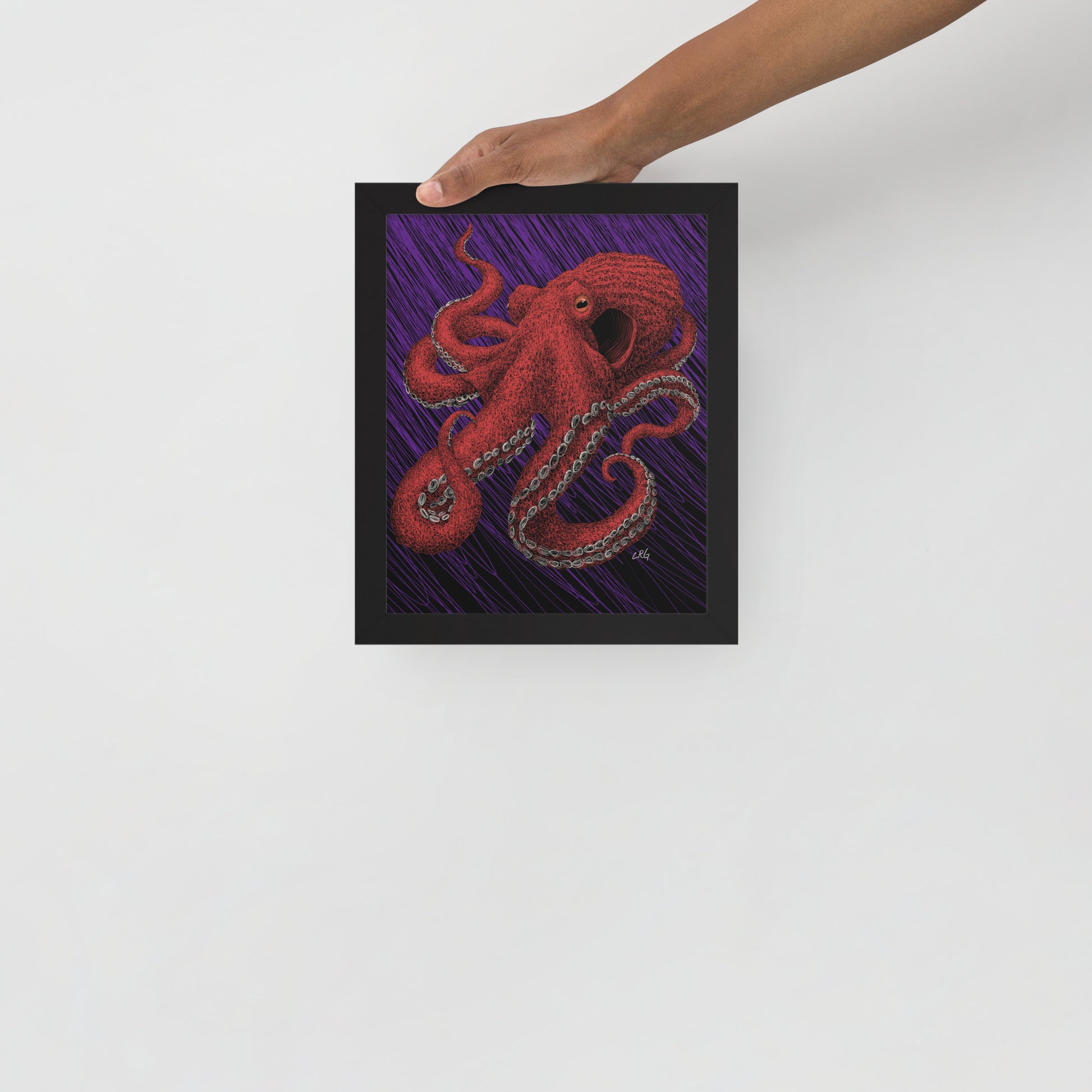 Octopus Art Print