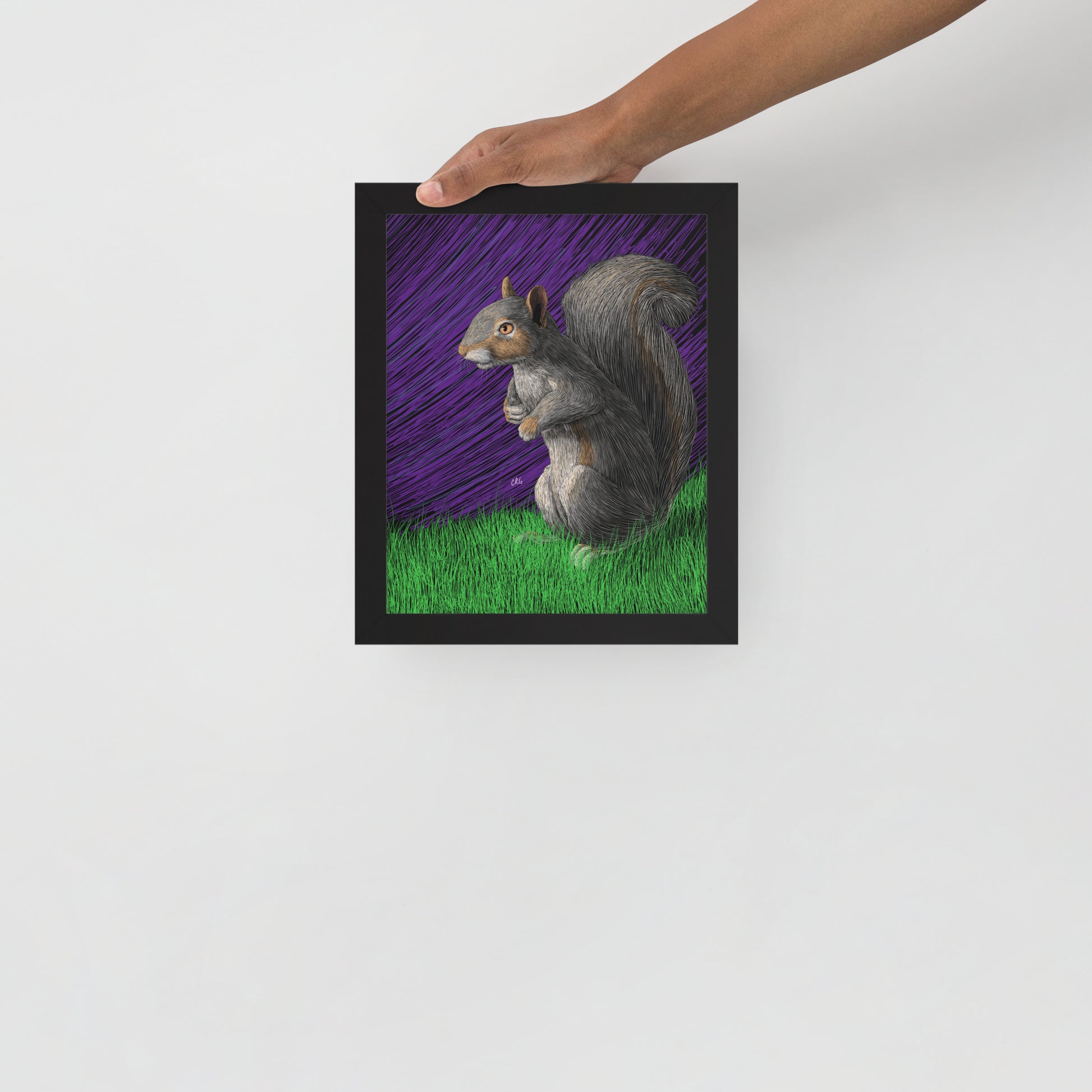 Squirrel Art Print
