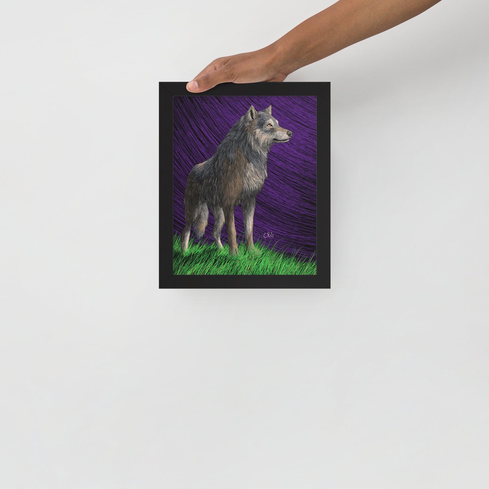 Gray Wolf Art Print