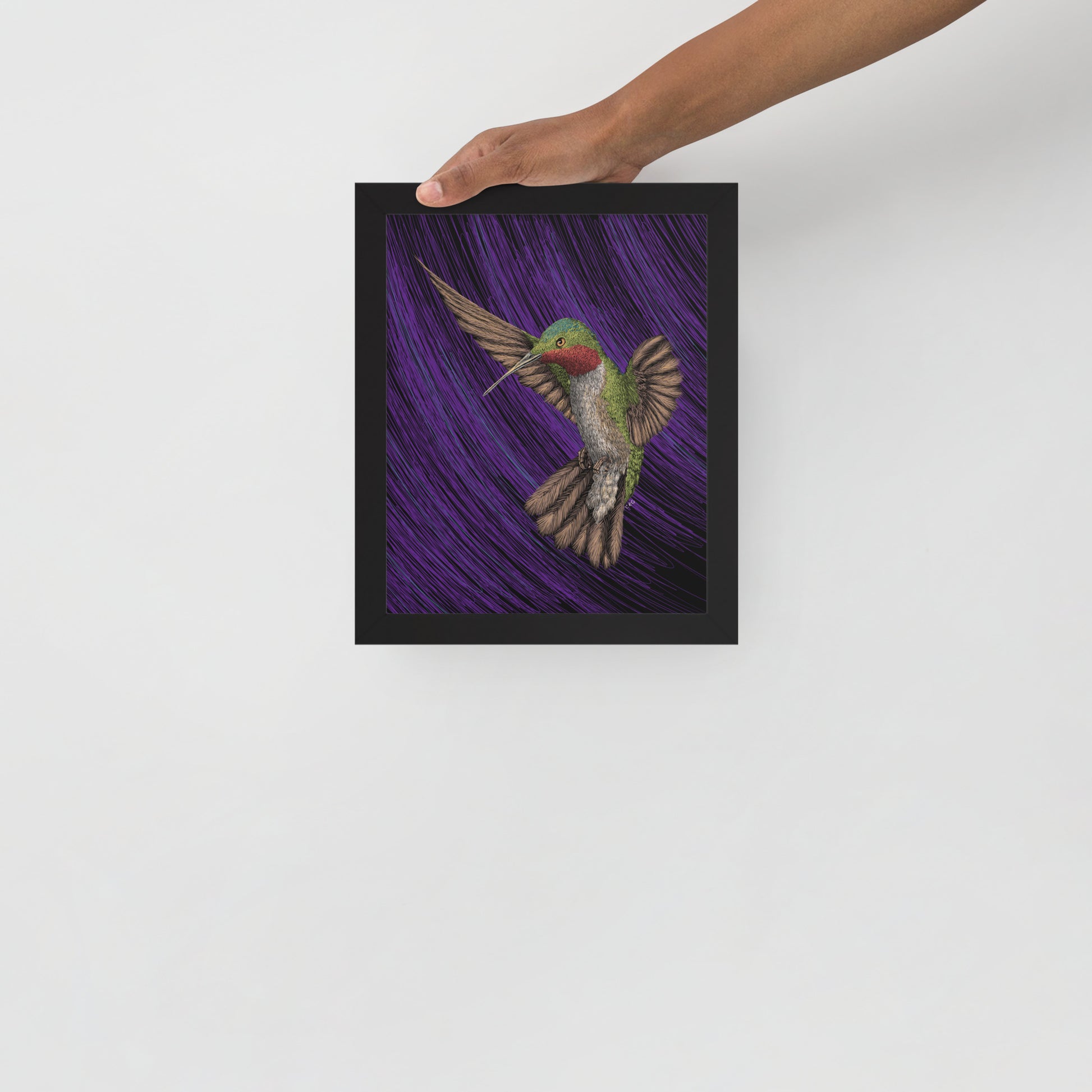 Hummingbird Art Print