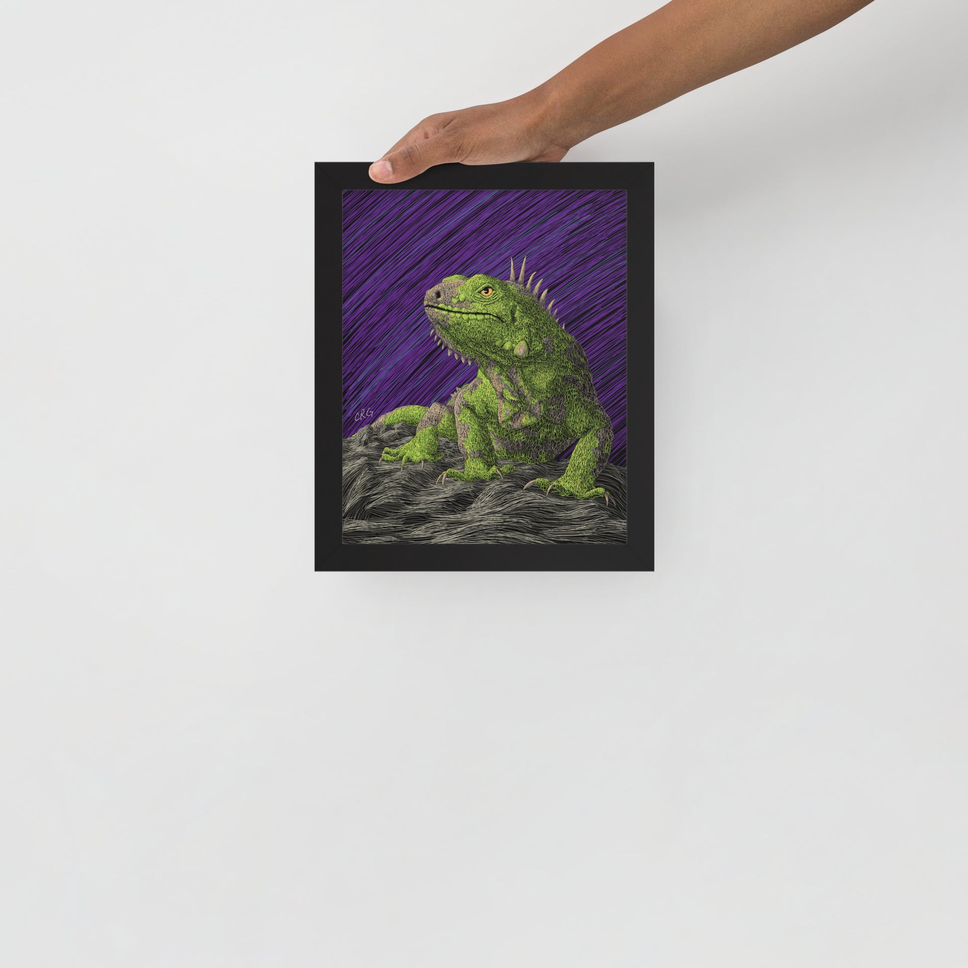Iguana Art Print