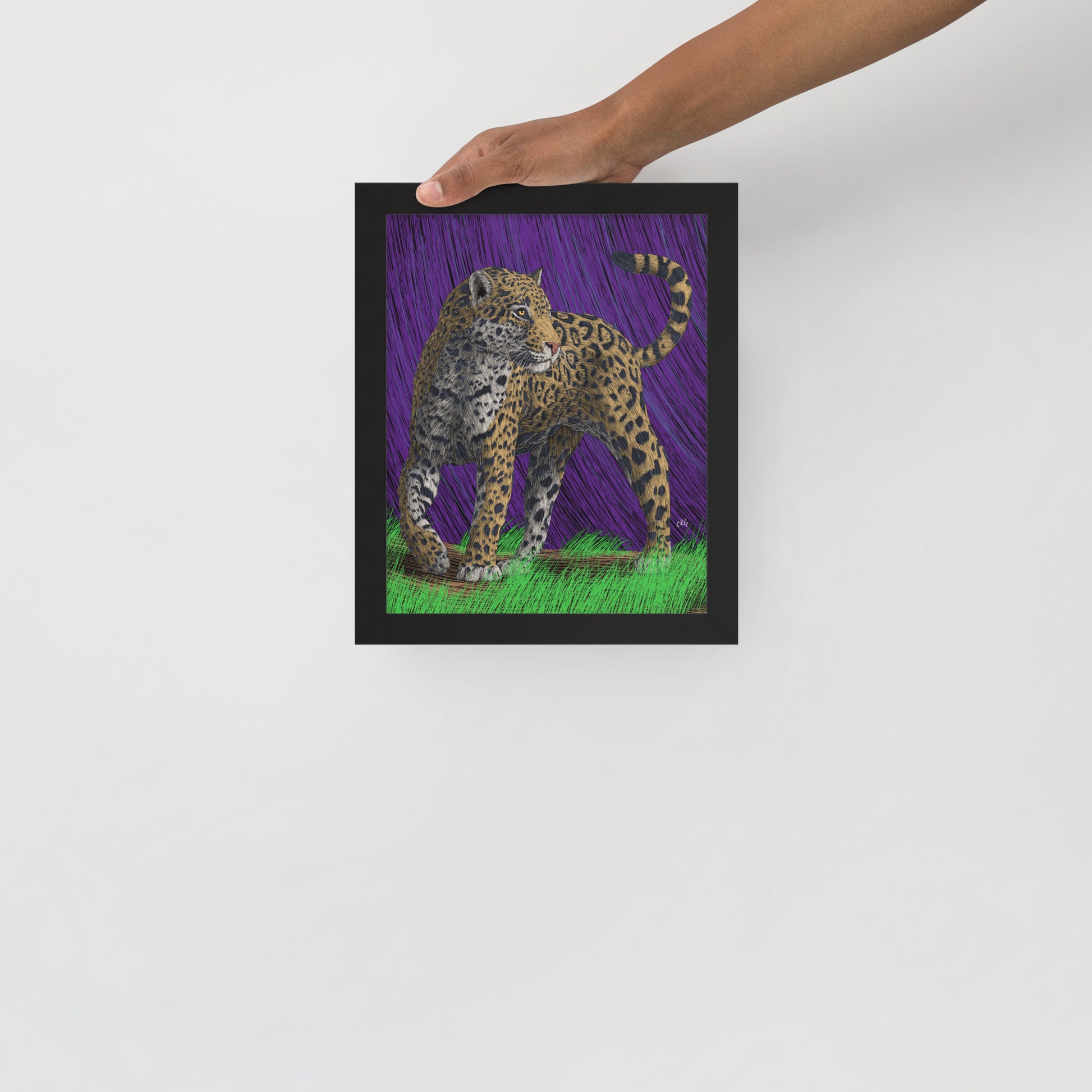 Jaguar Art Print