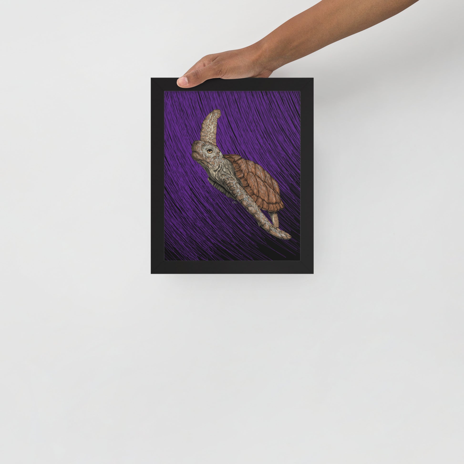 Turtle Art Print